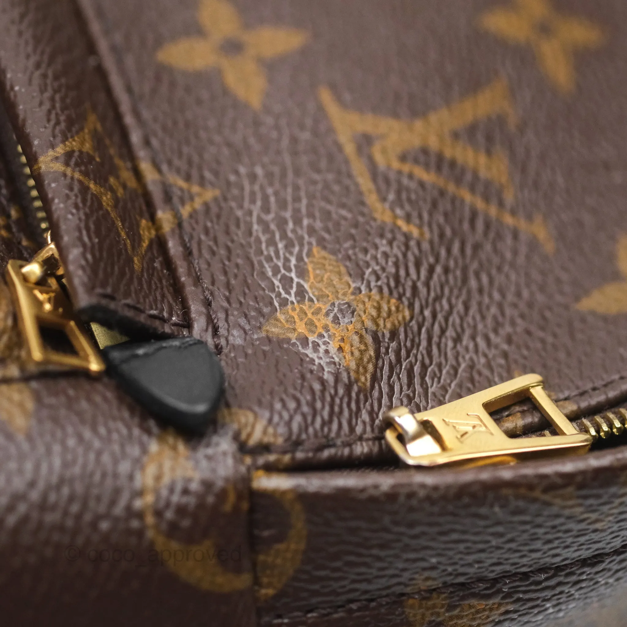 Louis Vuitton Monogram Mini Palm Springs Backpack