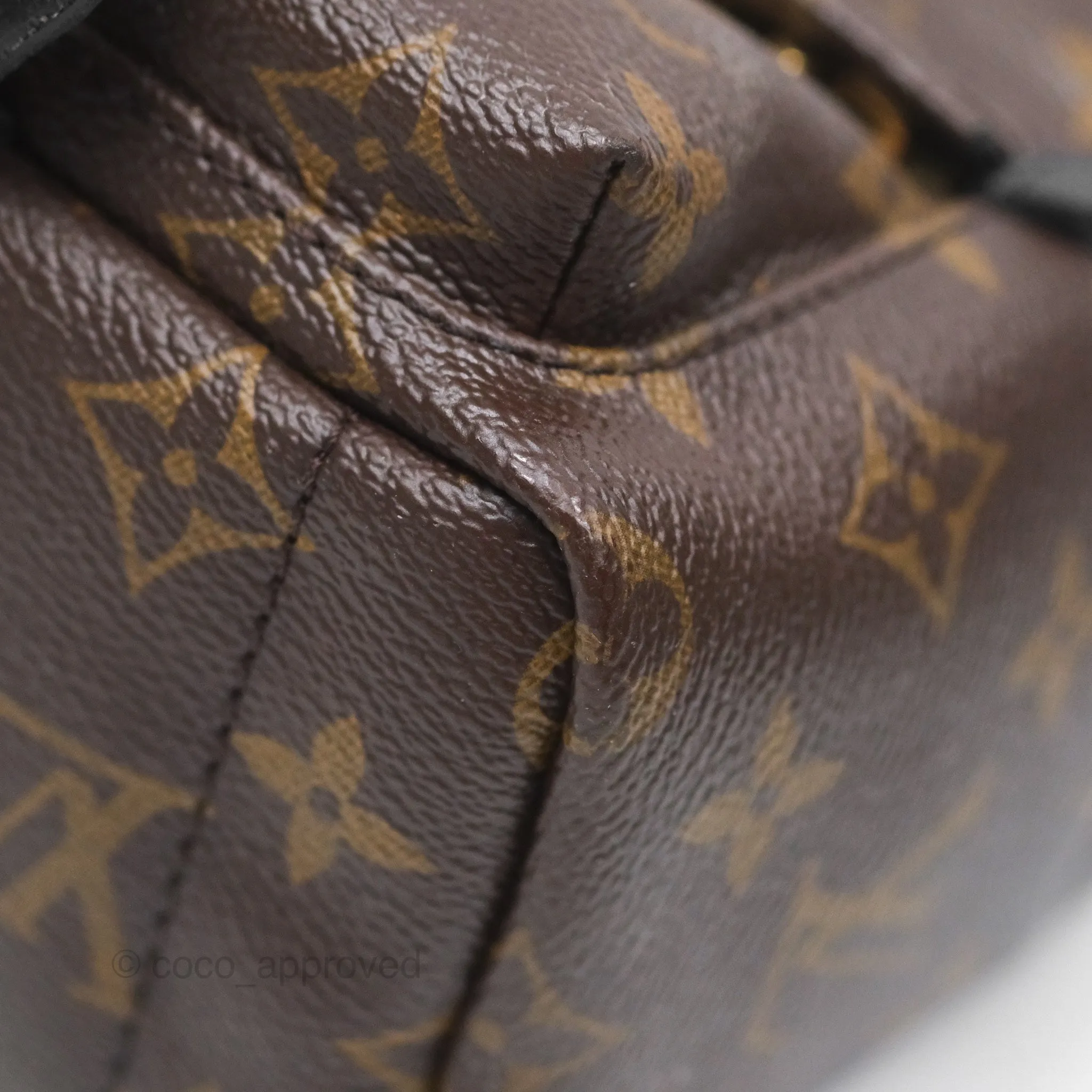 Louis Vuitton Monogram Mini Palm Springs Backpack