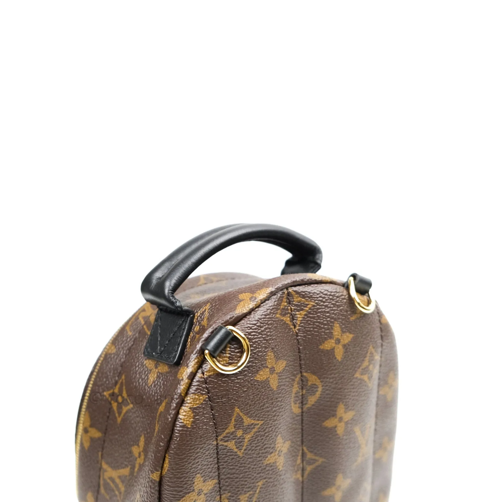 Louis Vuitton Monogram Mini Palm Springs Backpack