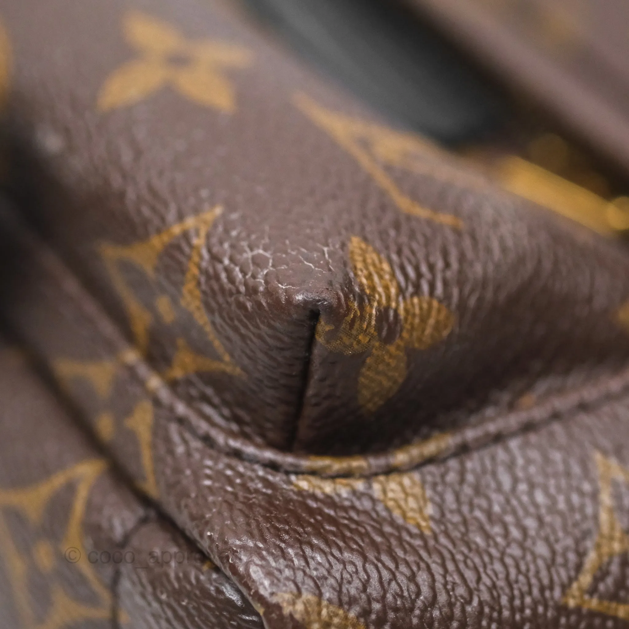 Louis Vuitton Monogram Mini Palm Springs Backpack
