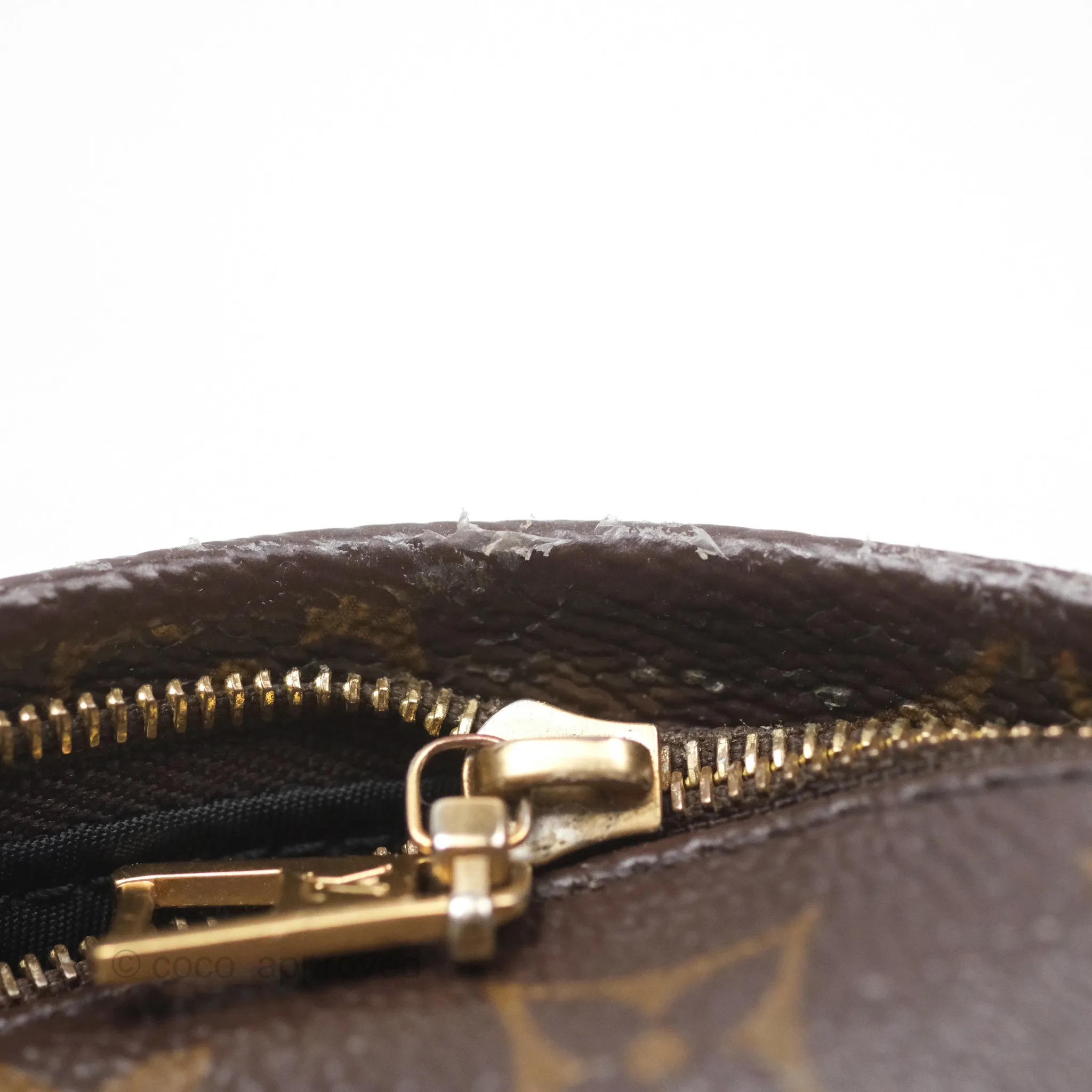 Louis Vuitton Monogram Mini Palm Springs Backpack