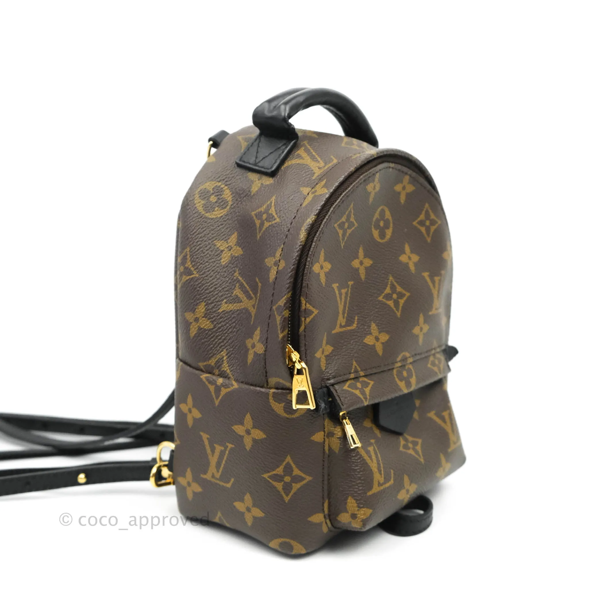 Louis Vuitton Monogram Mini Palm Springs Backpack
