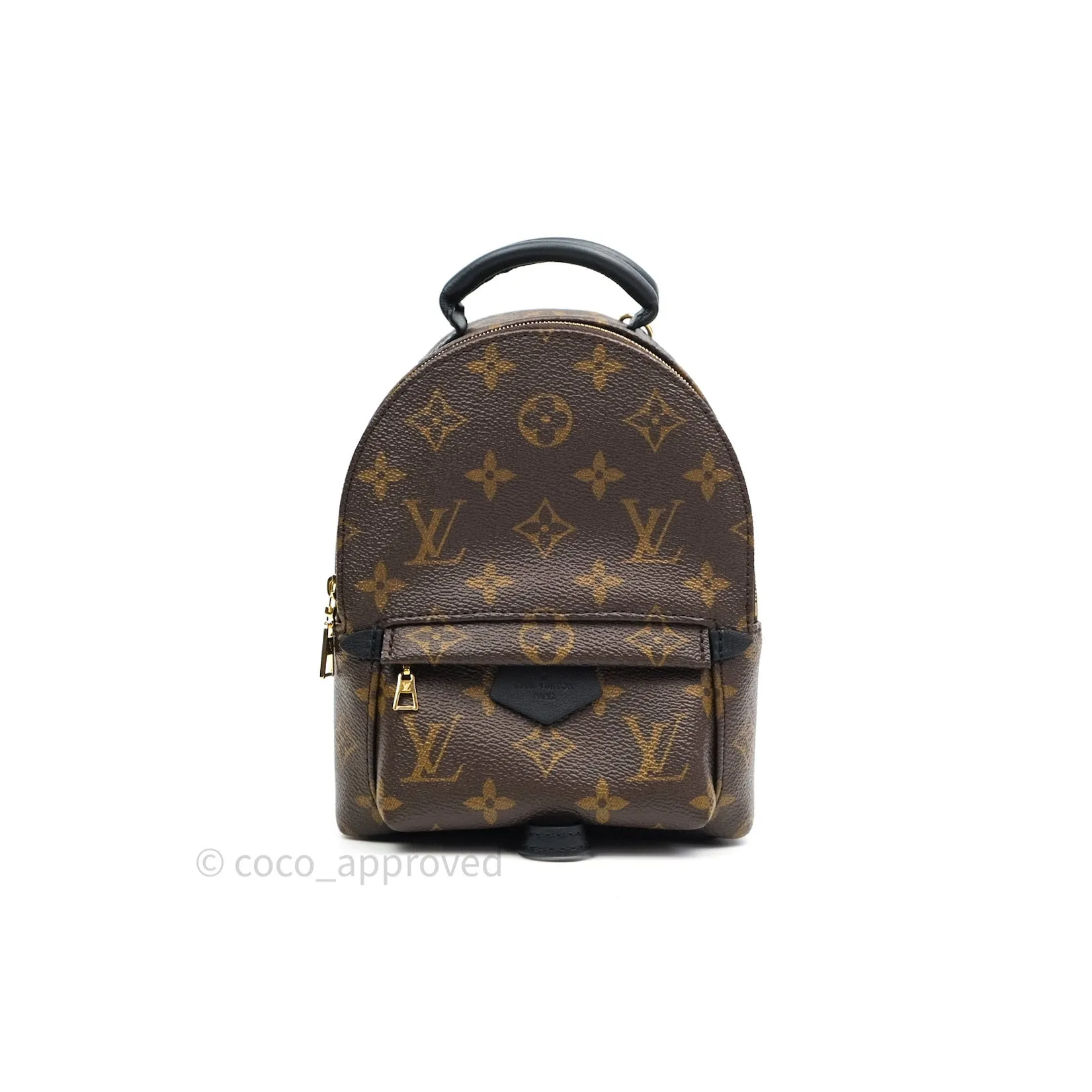 Louis Vuitton Monogram Mini Palm Springs Backpack