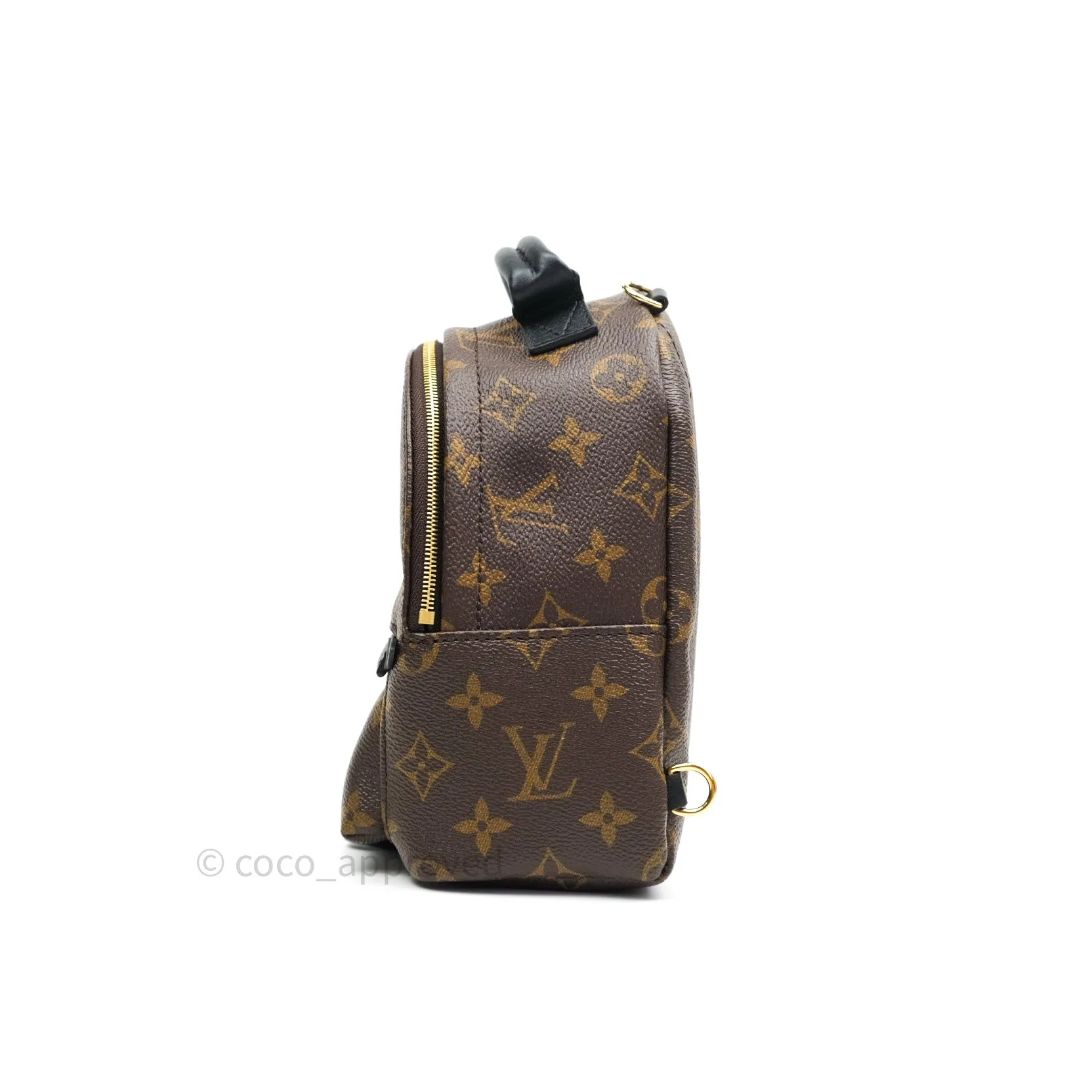 Louis Vuitton Monogram Mini Palm Springs Backpack