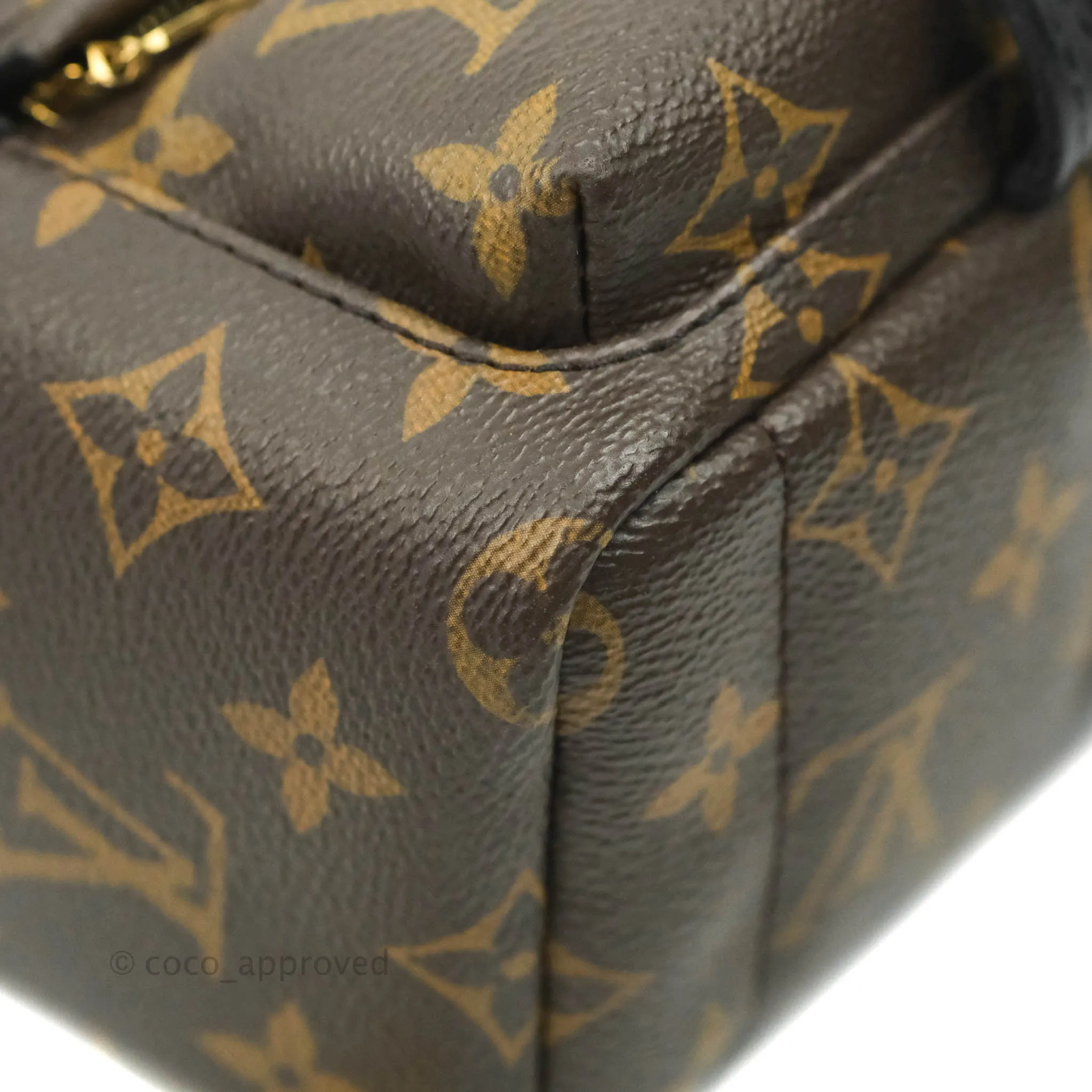 Louis Vuitton Monogram Mini Palm Springs Backpack