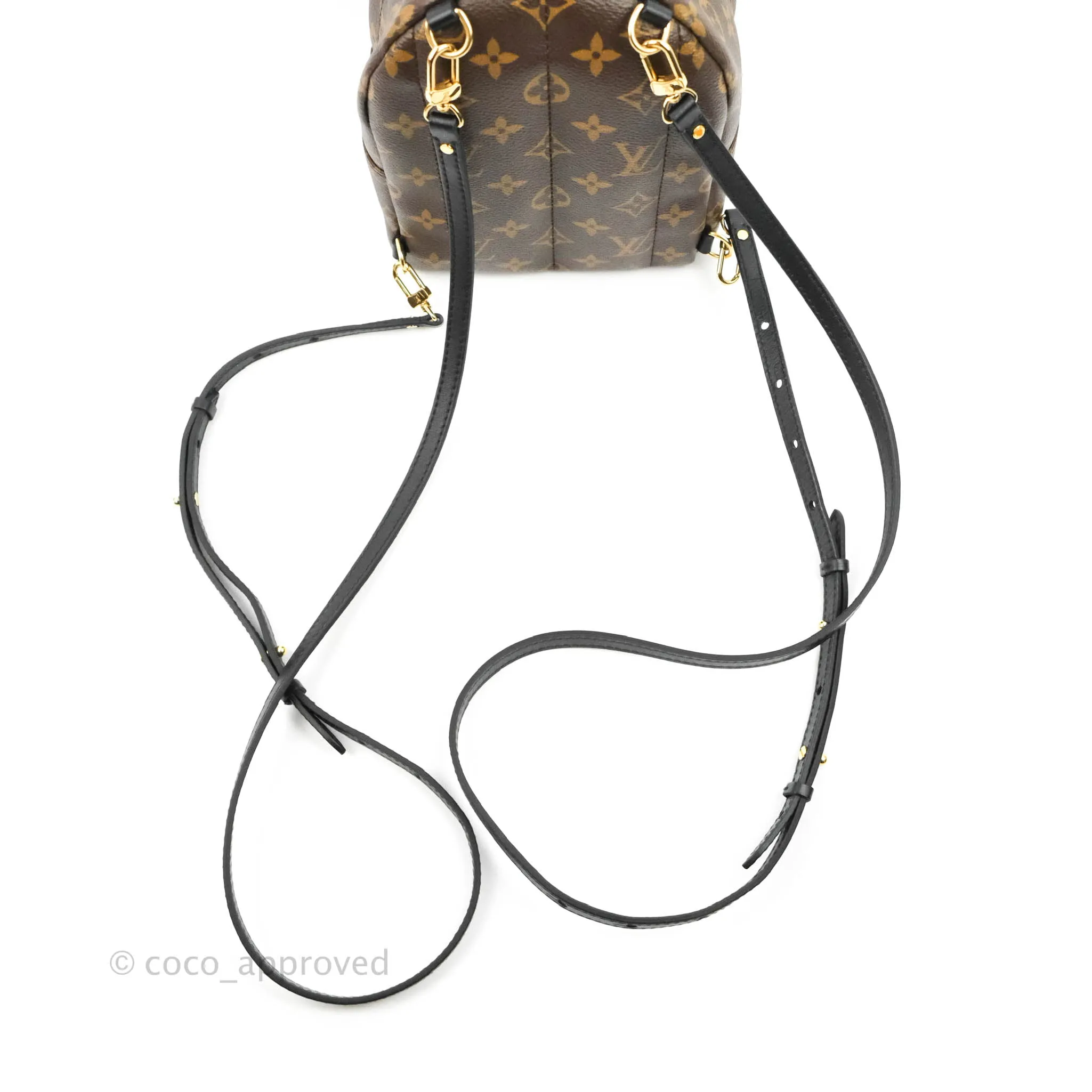 Louis Vuitton Monogram Mini Palm Springs Backpack
