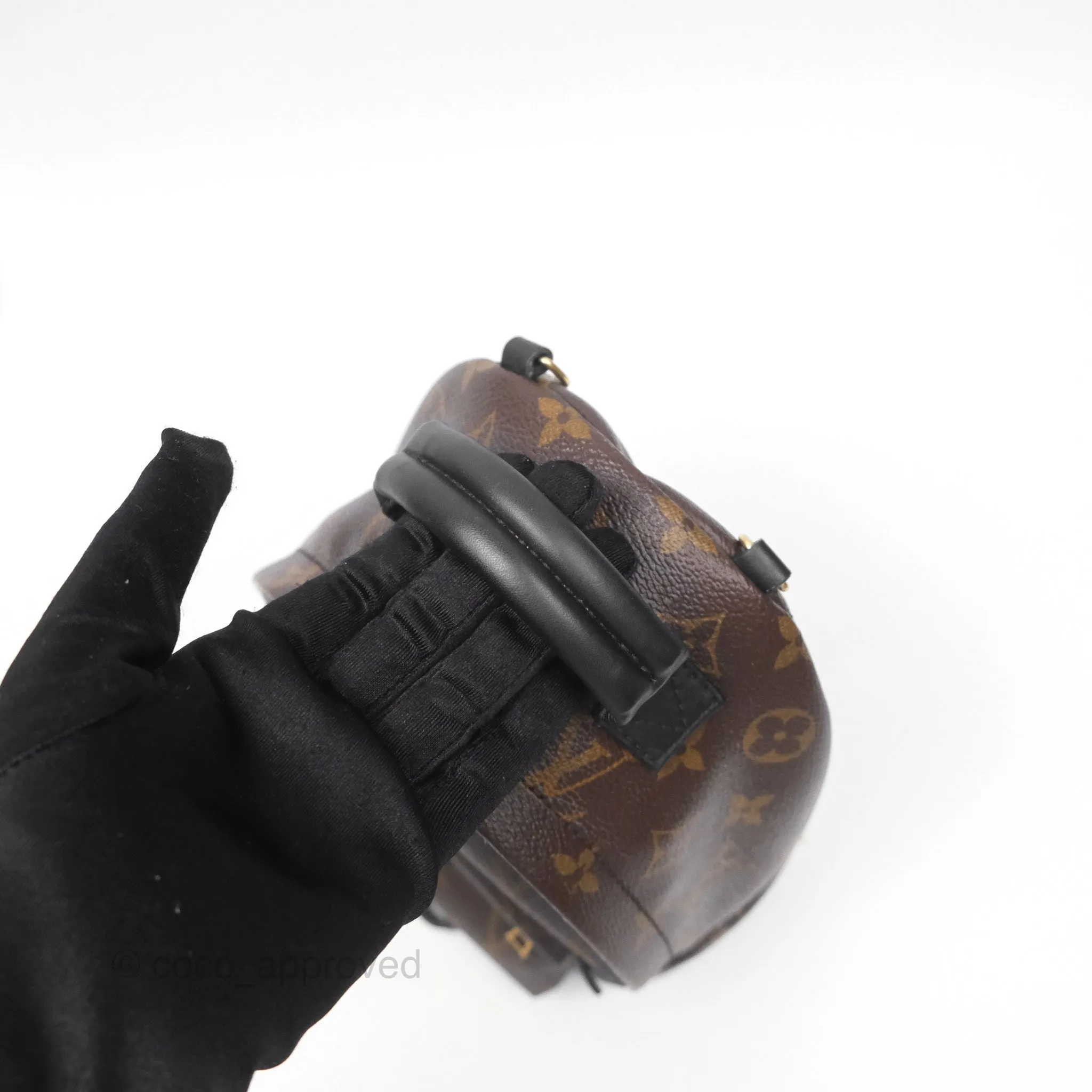 Louis Vuitton Monogram Mini Palm Springs Backpack