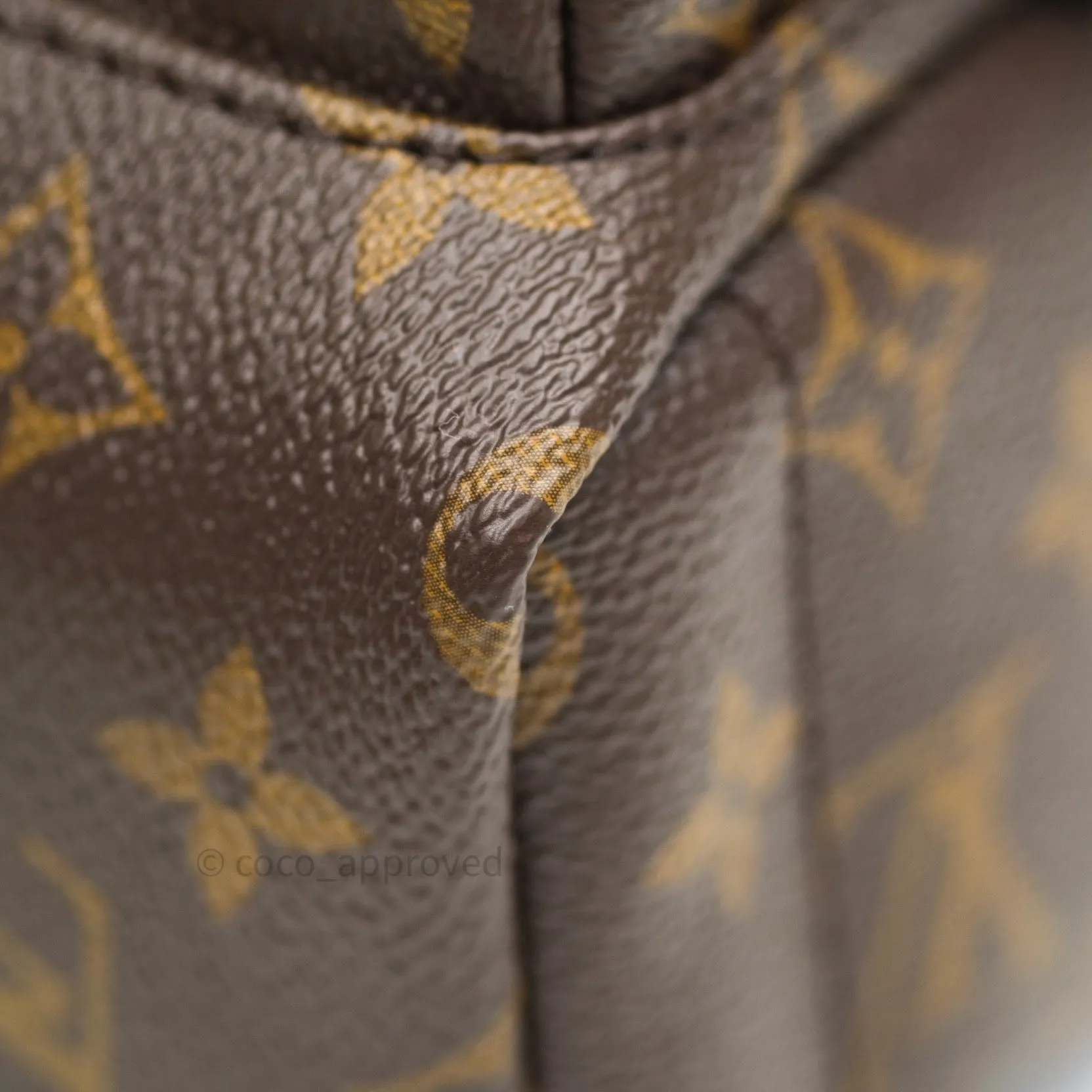 Louis Vuitton Monogram Mini Palm Springs Backpack