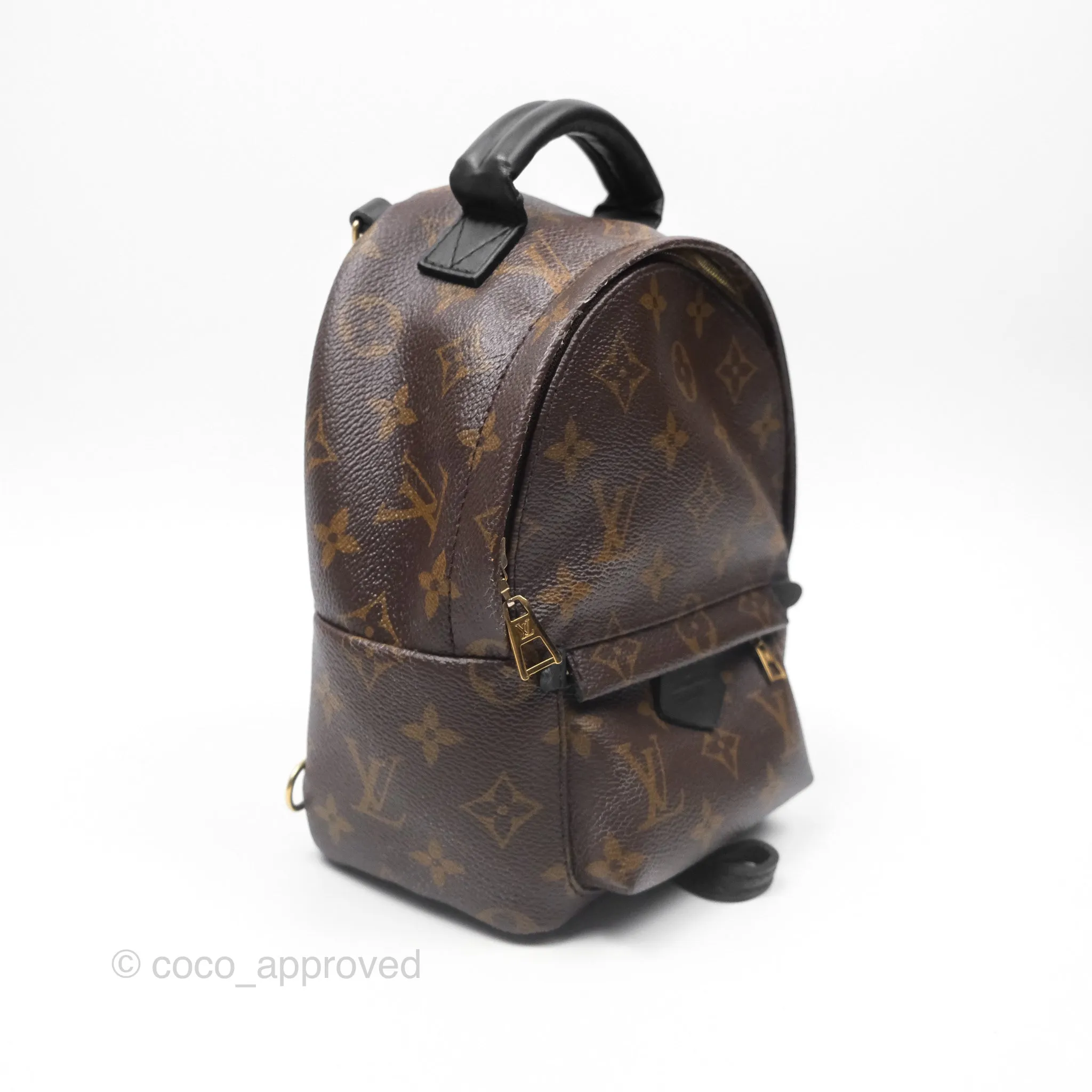 Louis Vuitton Monogram Mini Palm Springs Backpack