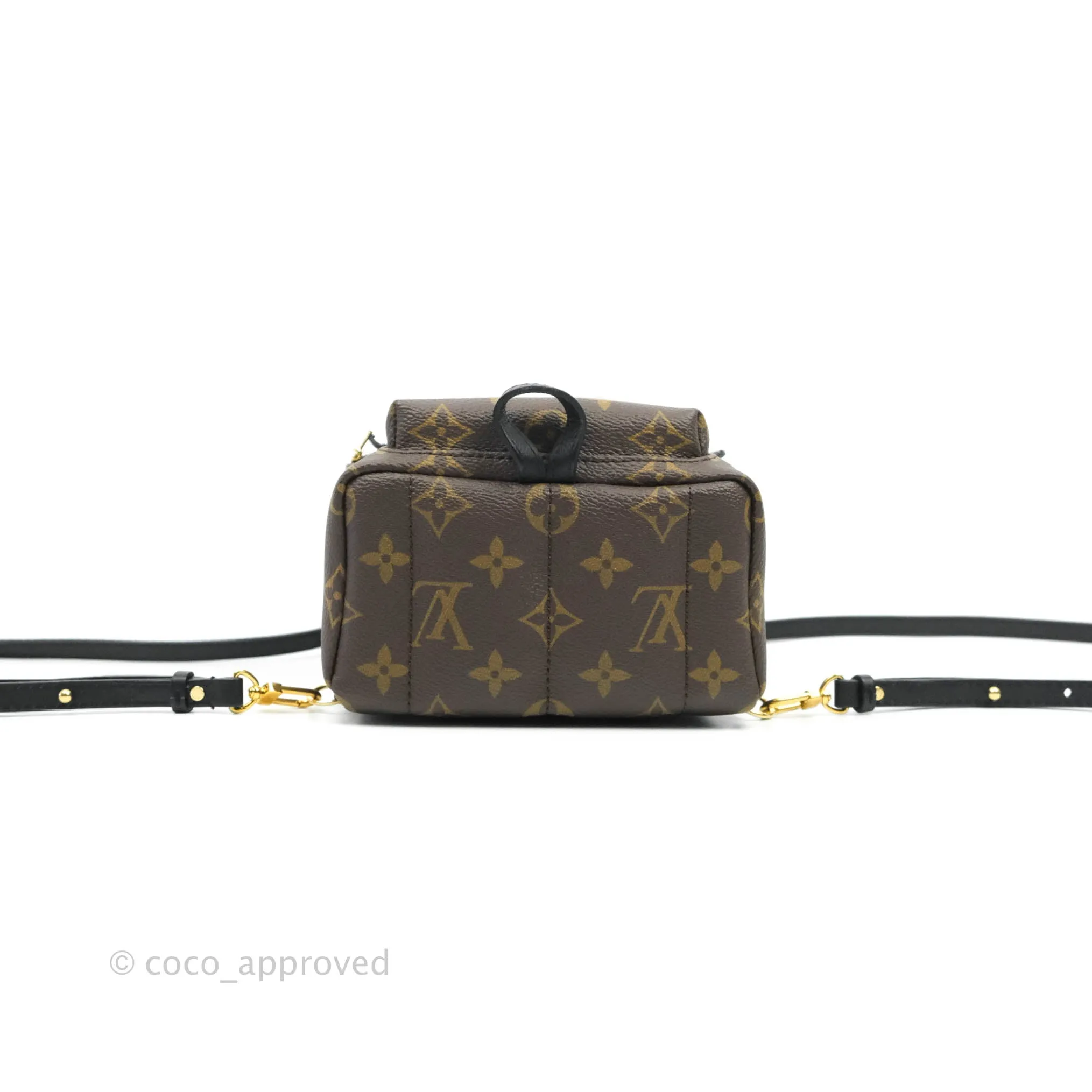 Louis Vuitton Monogram Mini Palm Springs Backpack