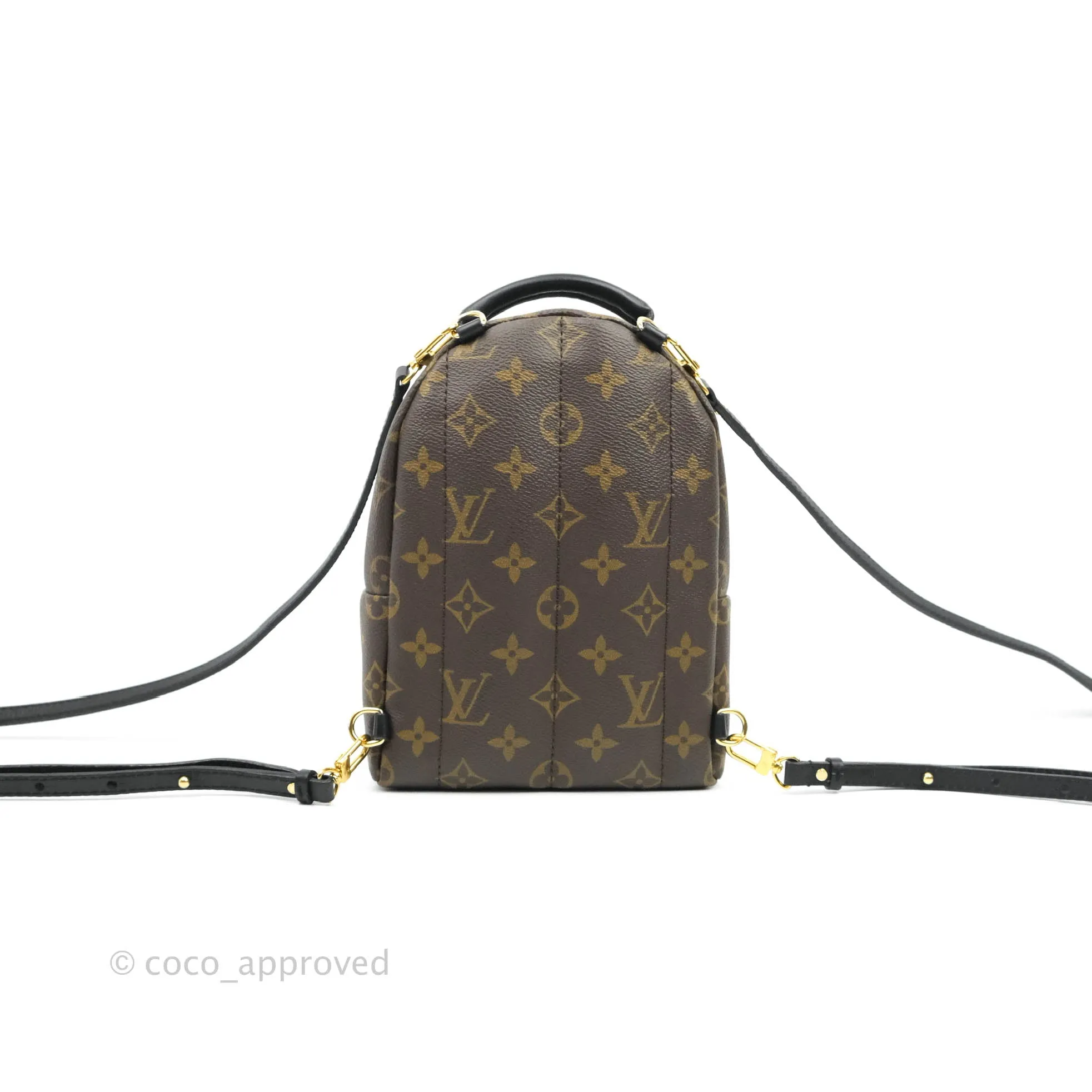 Louis Vuitton Monogram Mini Palm Springs Backpack