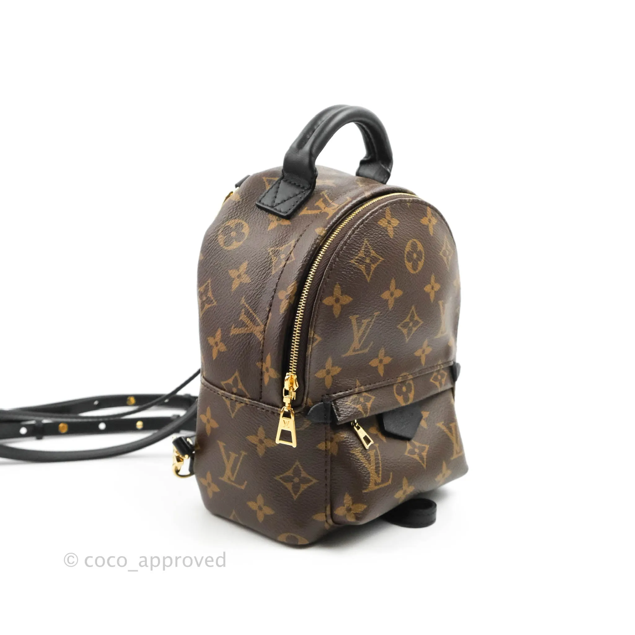 Louis Vuitton Monogram Mini Palm Springs Backpack