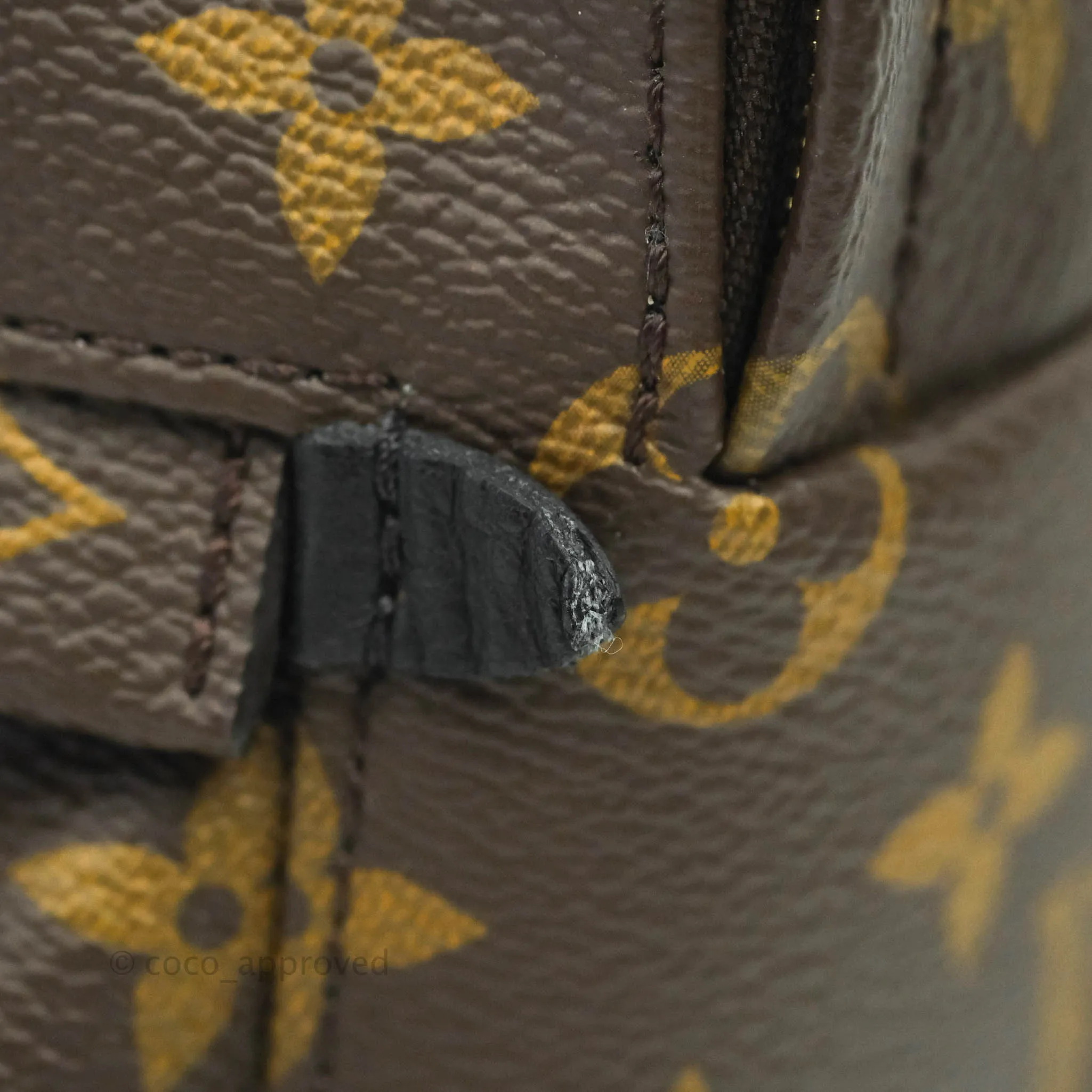 Louis Vuitton Monogram Mini Palm Springs Backpack
