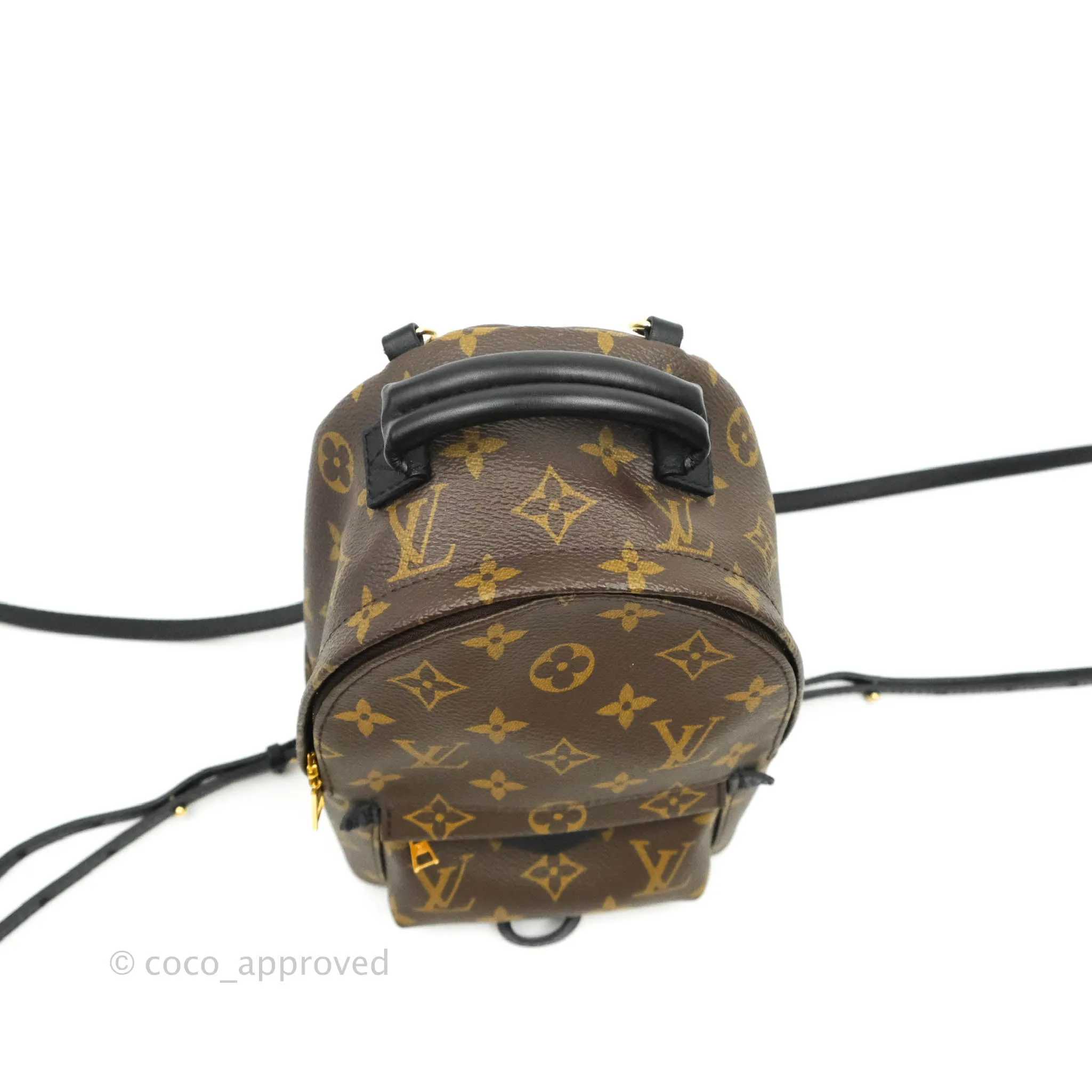Louis Vuitton Monogram Mini Palm Springs Backpack