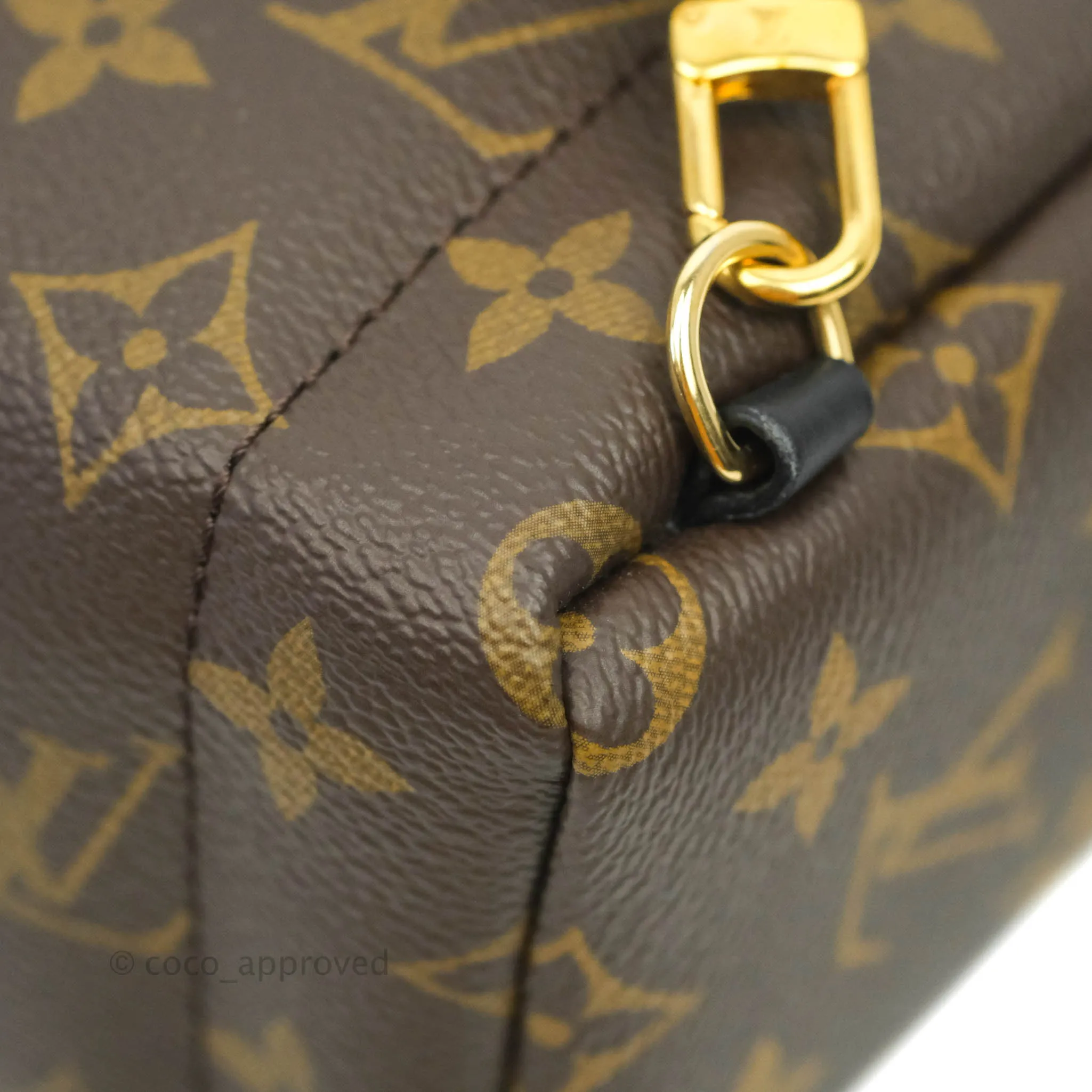 Louis Vuitton Monogram Mini Palm Springs Backpack