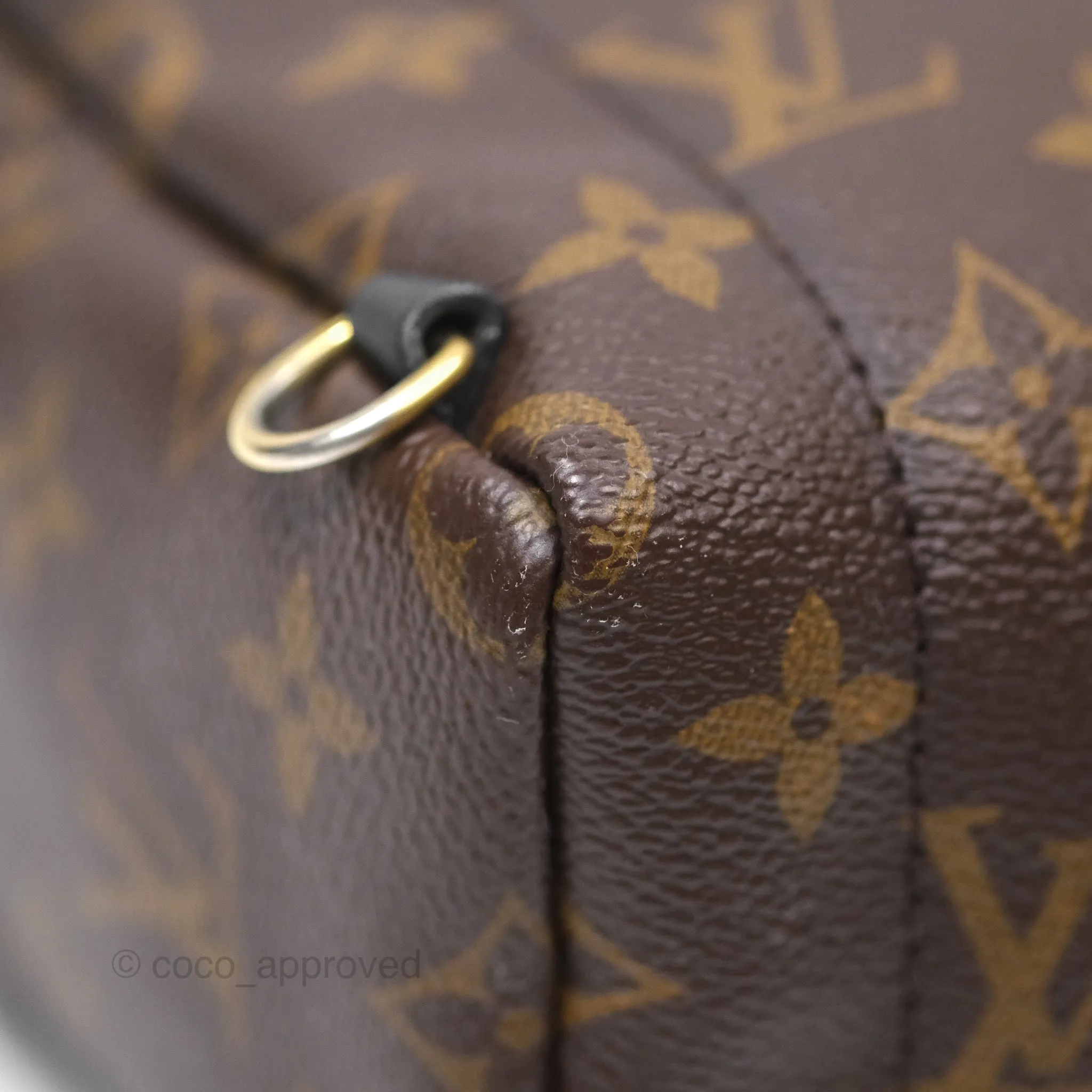 Louis Vuitton Monogram Mini Palm Springs Backpack