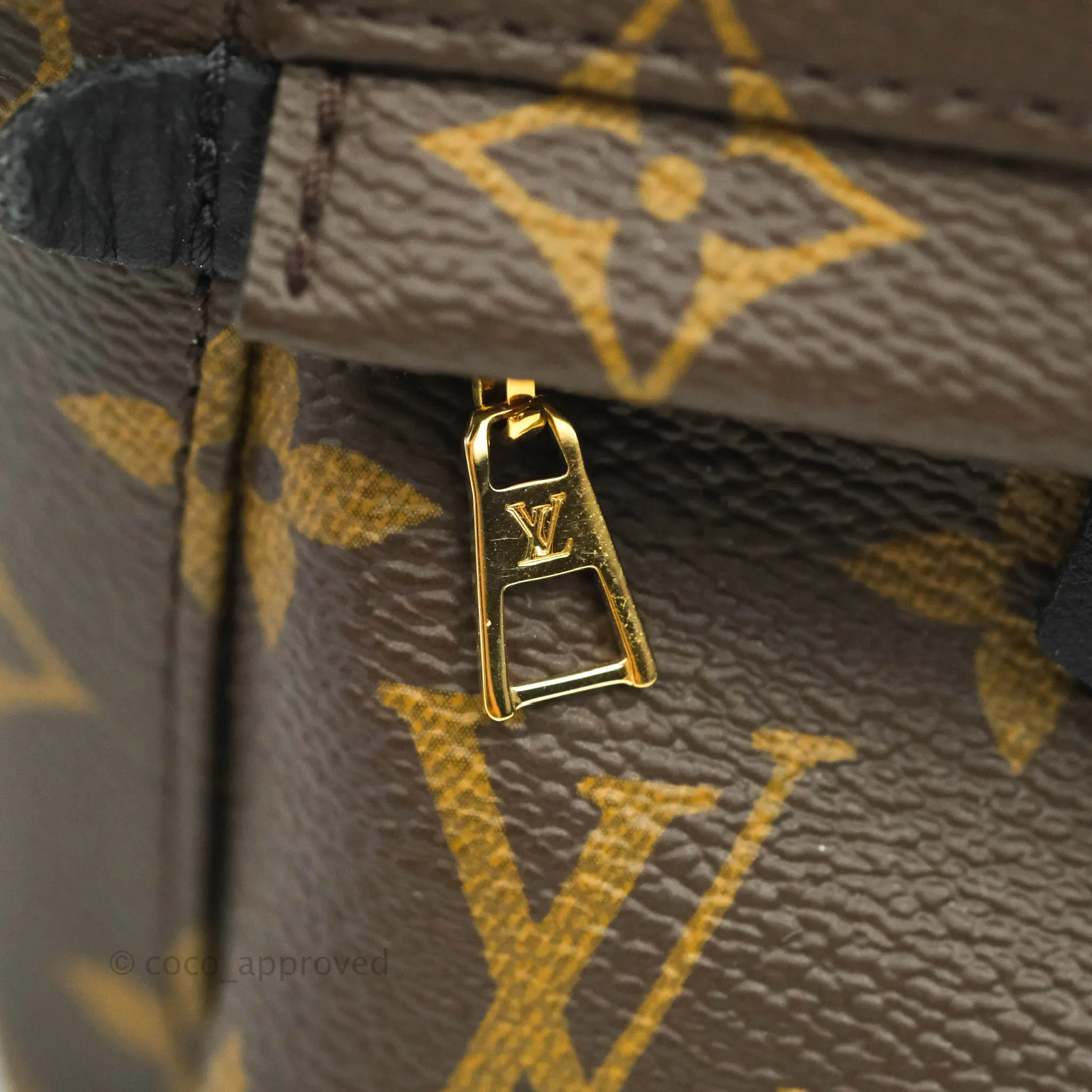 Louis Vuitton Monogram Mini Palm Springs Backpack