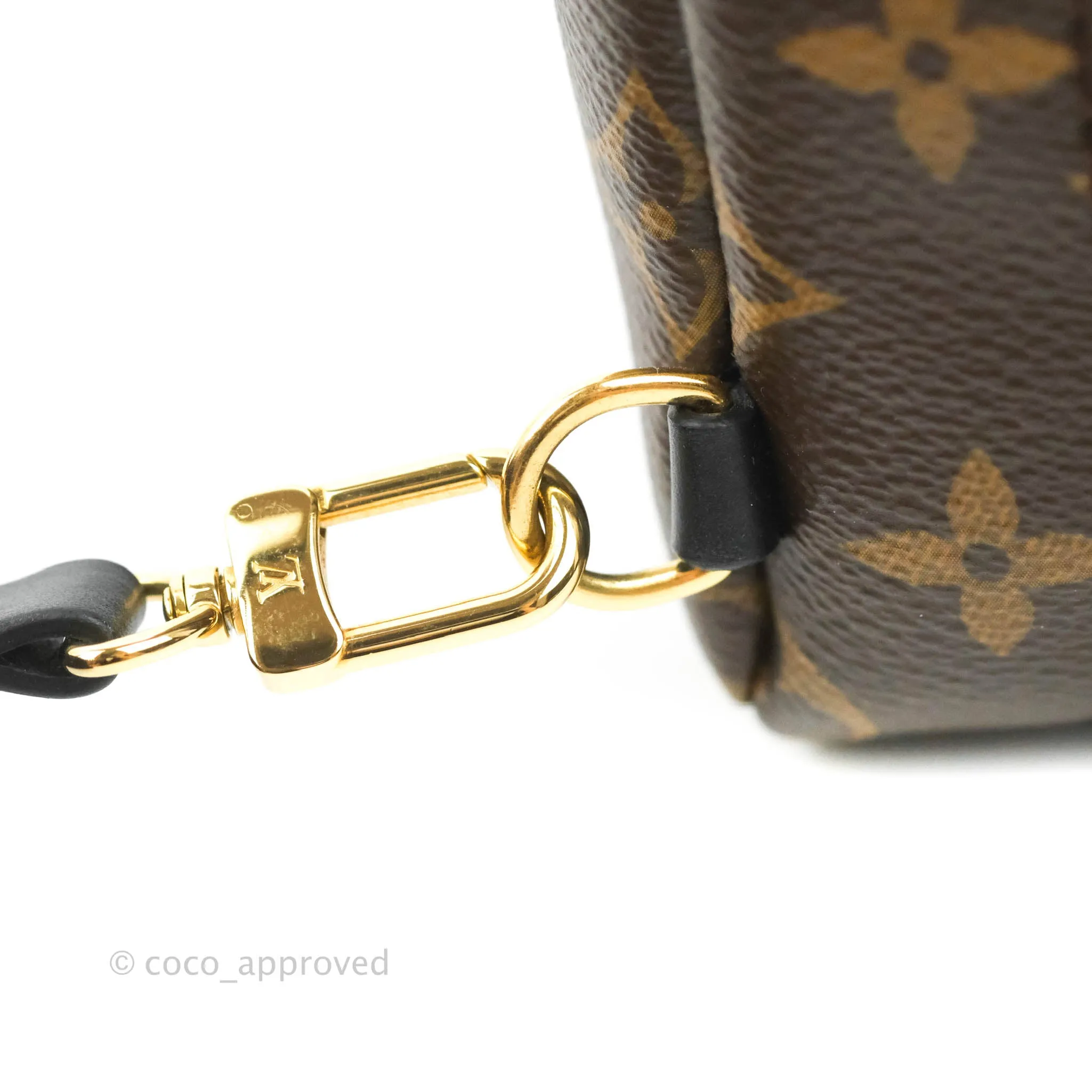 Louis Vuitton Monogram Mini Palm Springs Backpack