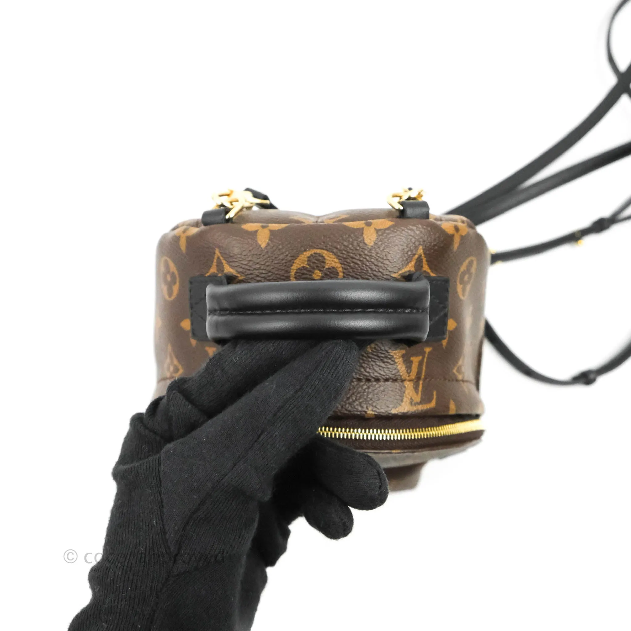 Louis Vuitton Monogram Mini Palm Springs Backpack