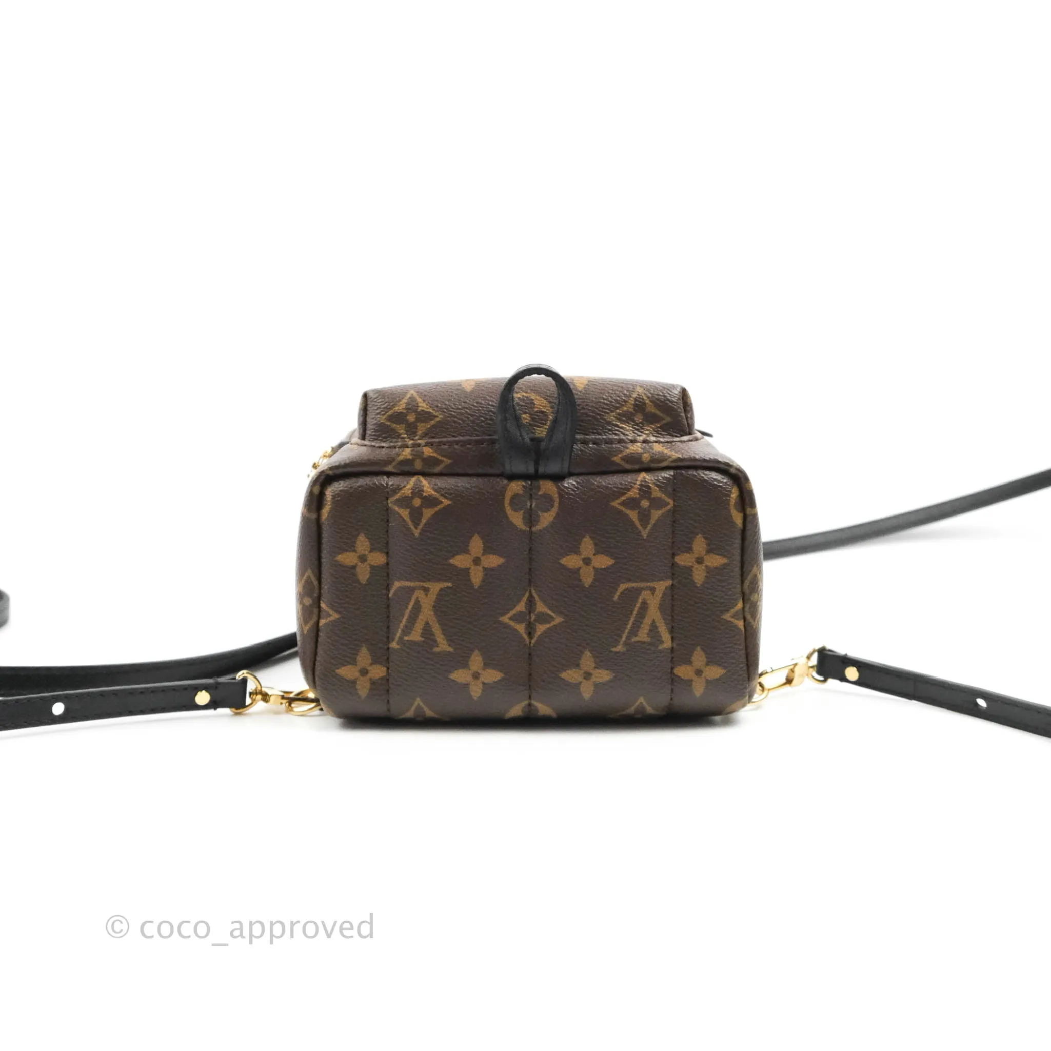 Louis Vuitton Monogram Mini Palm Springs Backpack