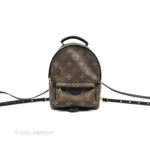 Louis Vuitton Monogram Mini Palm Springs Backpack