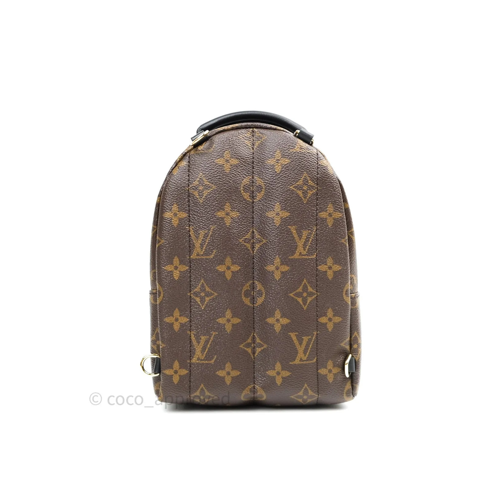 Louis Vuitton Monogram Mini Palm Springs Backpack