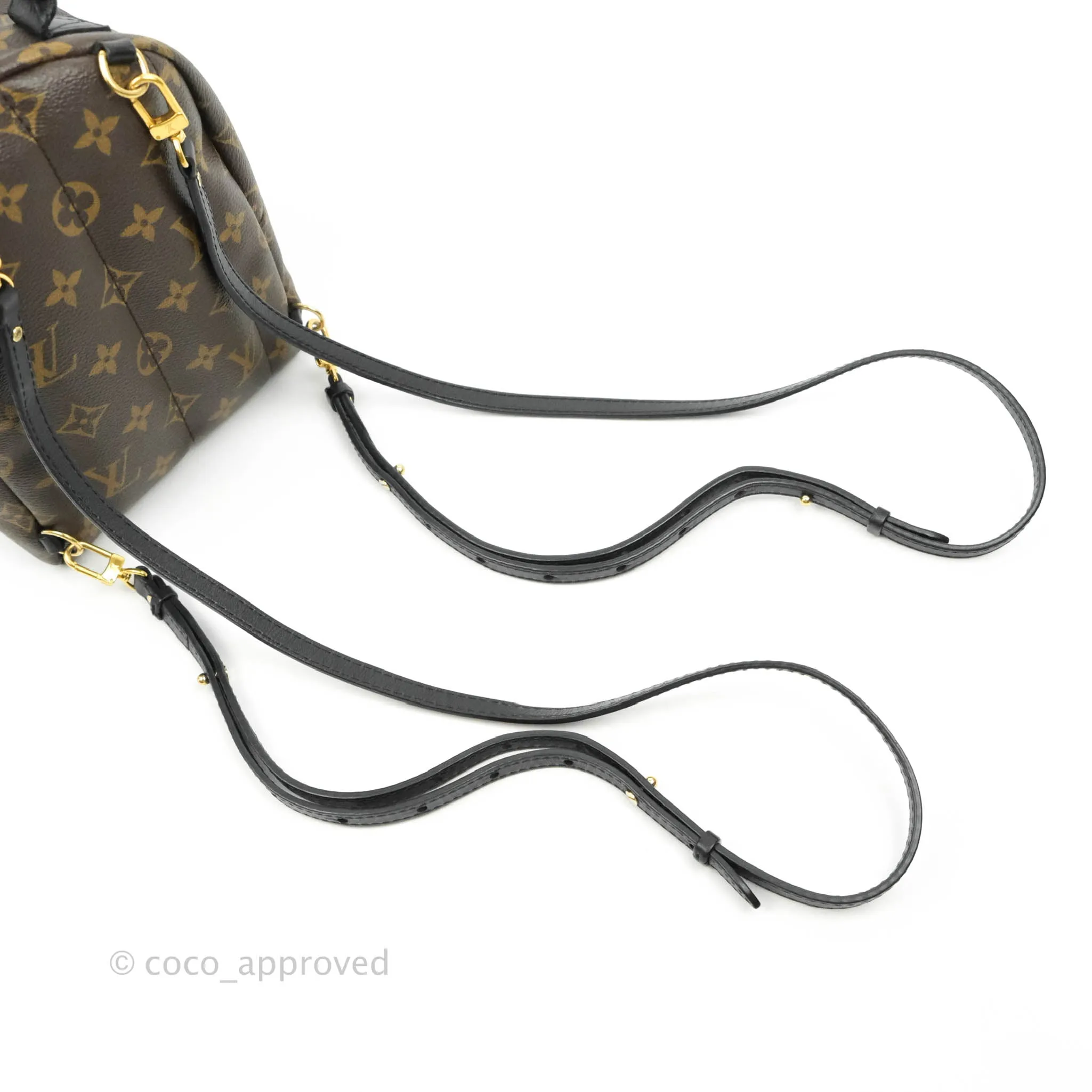 Louis Vuitton Monogram Mini Palm Springs Backpack