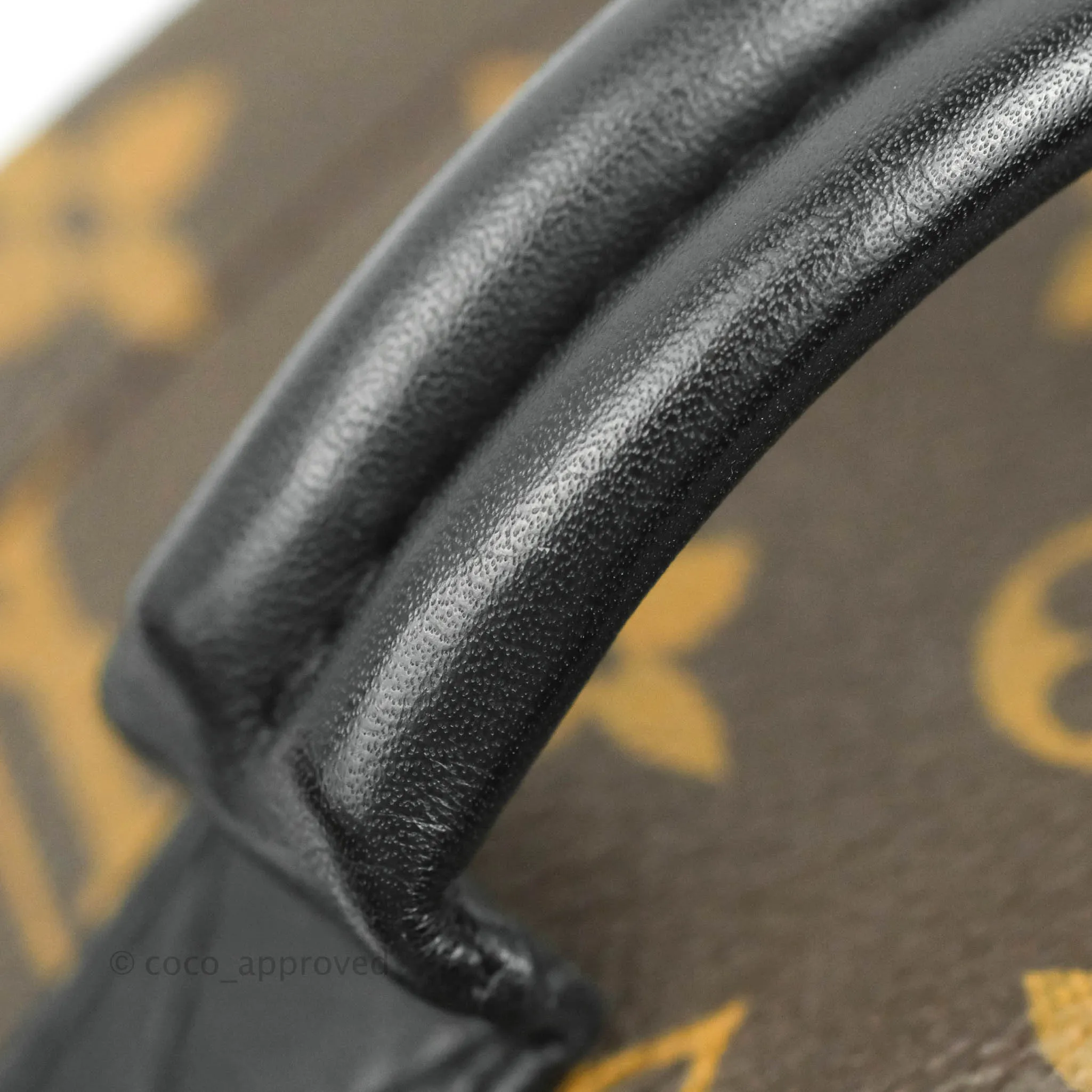 Louis Vuitton Monogram Mini Palm Springs Backpack