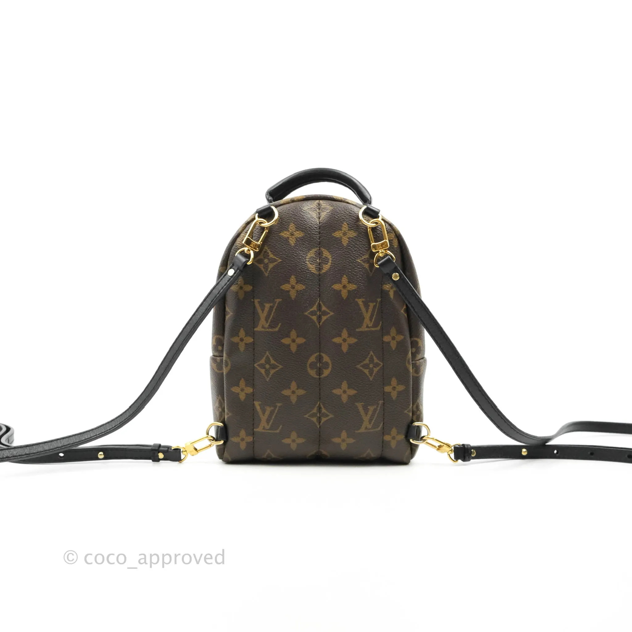 Louis Vuitton Monogram Mini Palm Springs Backpack