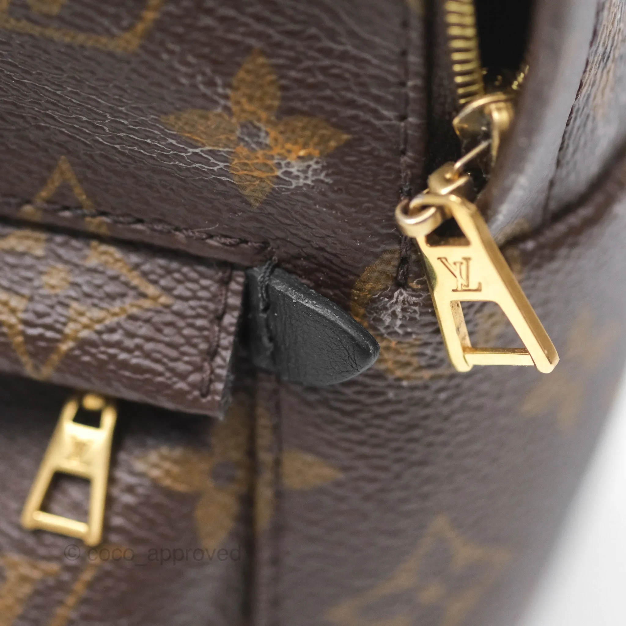 Louis Vuitton Monogram Mini Palm Springs Backpack