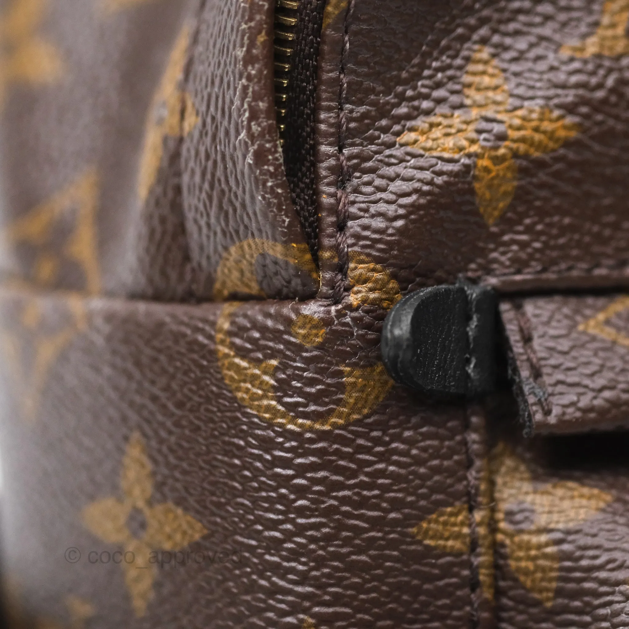 Louis Vuitton Monogram Mini Palm Springs Backpack