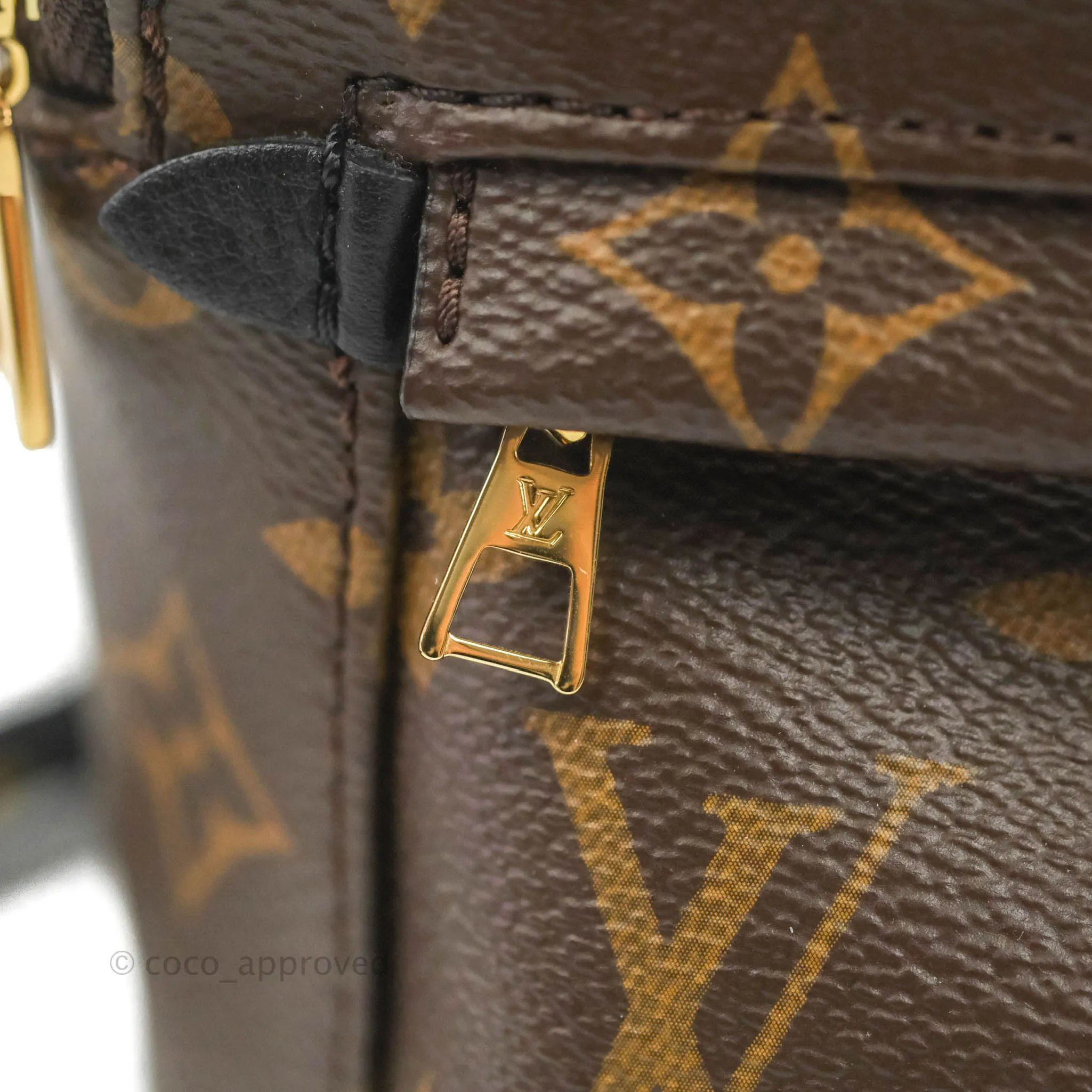 Louis Vuitton Monogram Mini Palm Springs Backpack