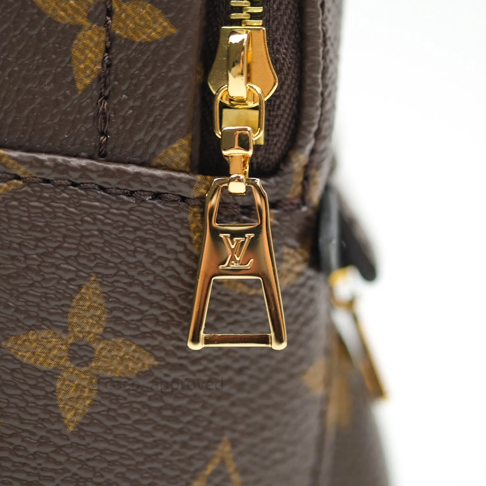 Louis Vuitton Monogram Mini Palm Springs Backpack