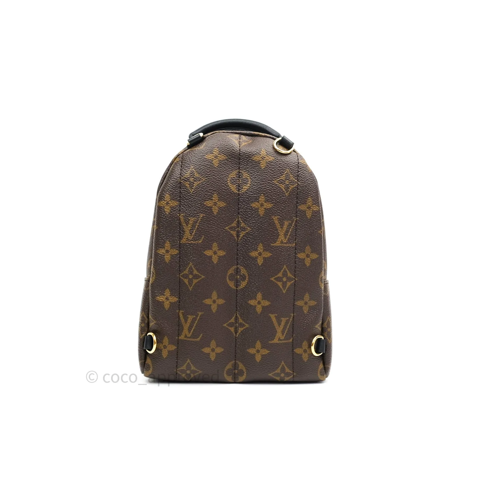 Louis Vuitton Monogram Mini Palm Springs Backpack