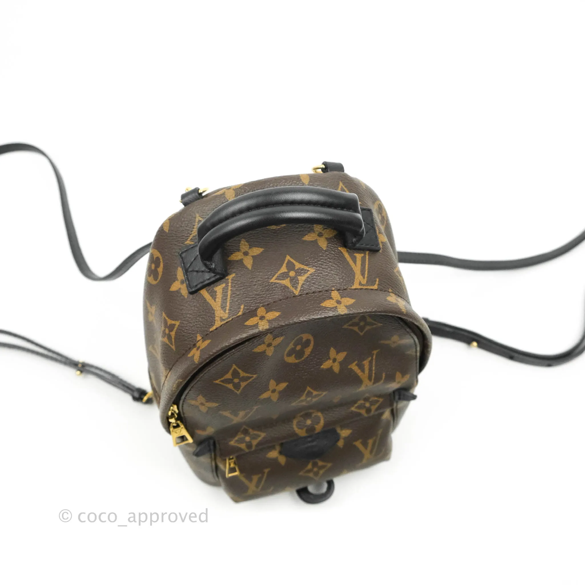 Louis Vuitton Monogram Mini Palm Springs Backpack