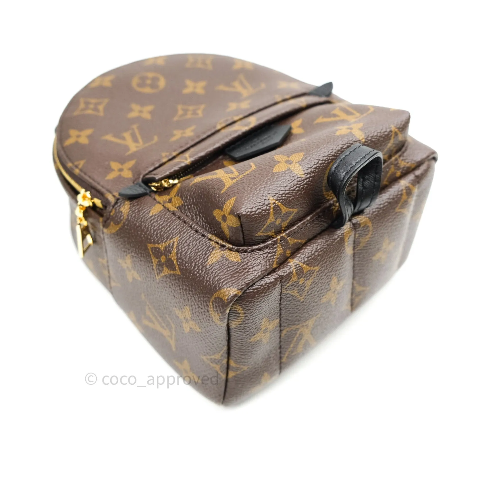 Louis Vuitton Monogram Mini Palm Springs Backpack