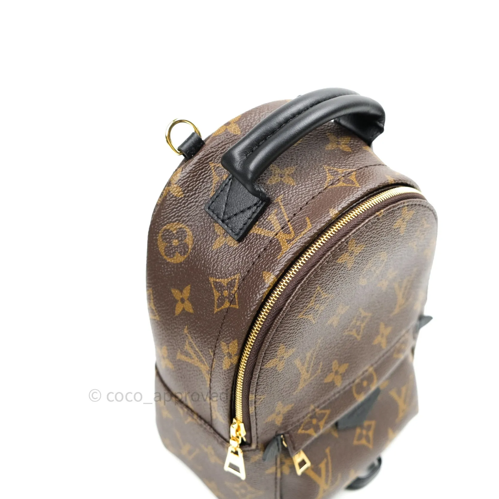 Louis Vuitton Monogram Mini Palm Springs Backpack