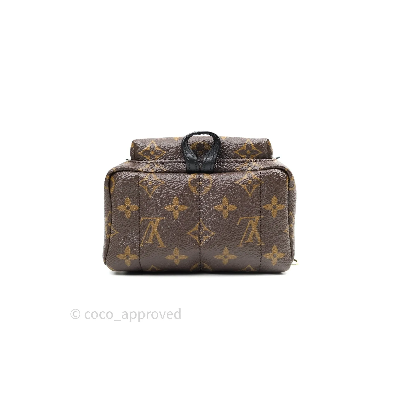 Louis Vuitton Monogram Mini Palm Springs Backpack