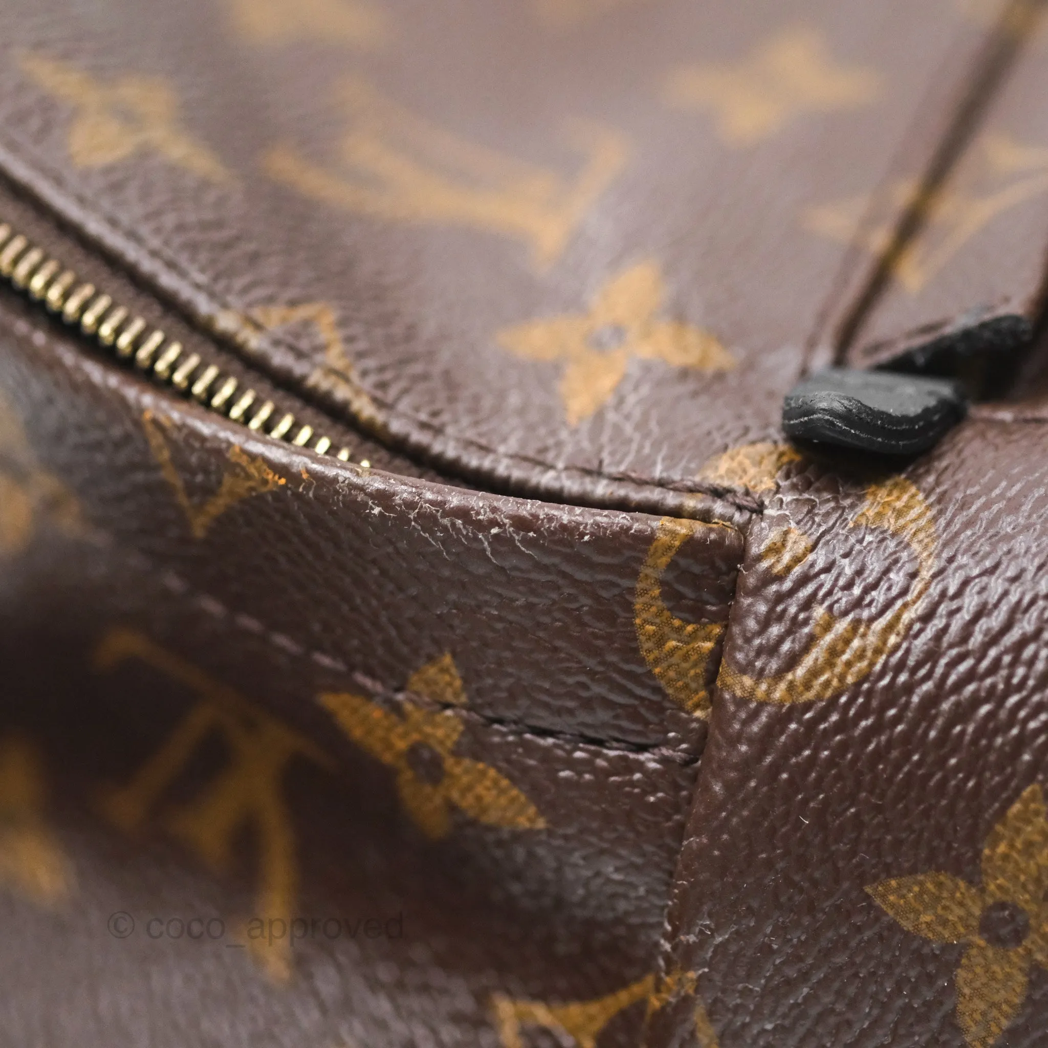 Louis Vuitton Monogram Mini Palm Springs Backpack