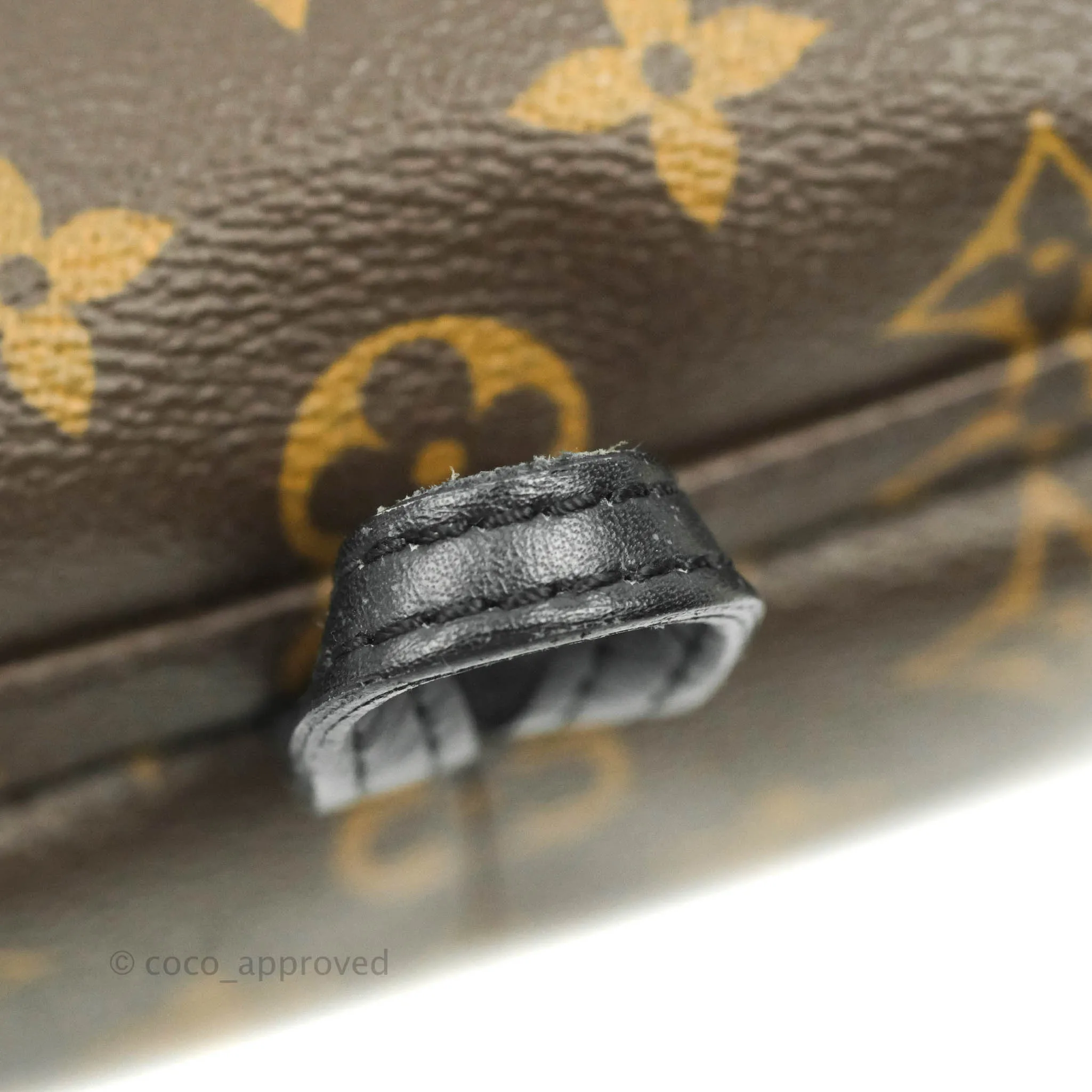 Louis Vuitton Monogram Mini Palm Springs Backpack