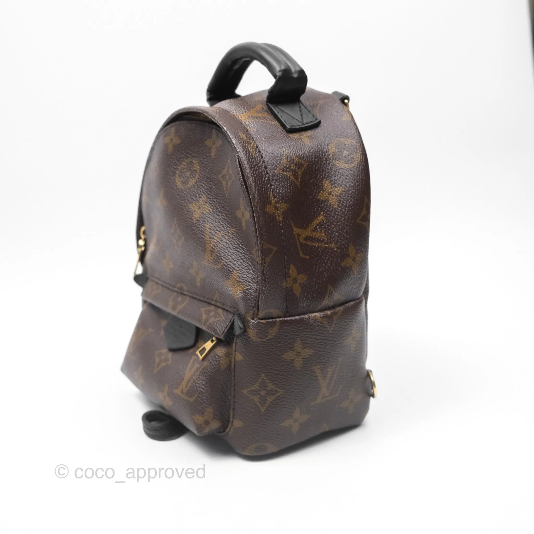 Louis Vuitton Monogram Mini Palm Springs Backpack