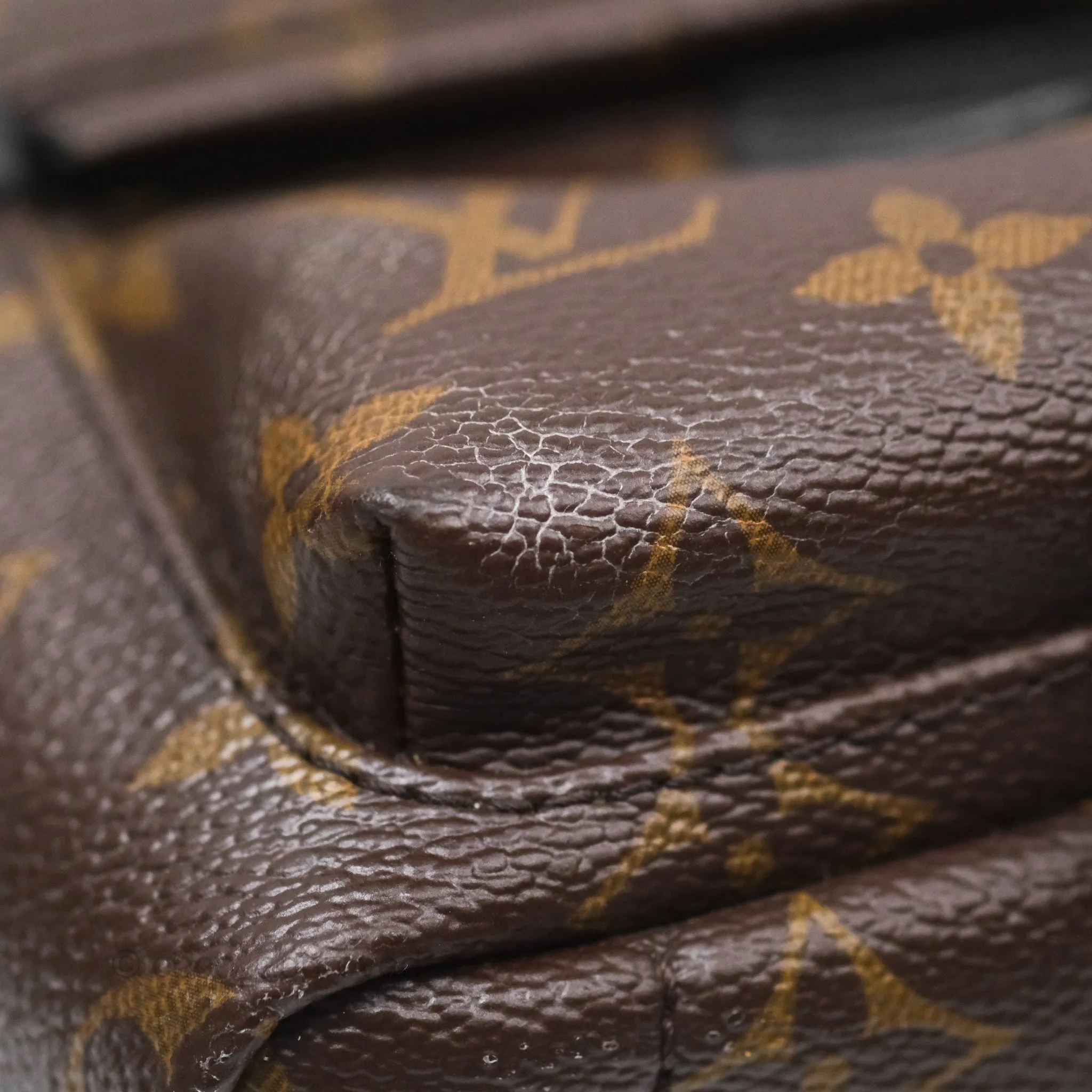 Louis Vuitton Monogram Mini Palm Springs Backpack