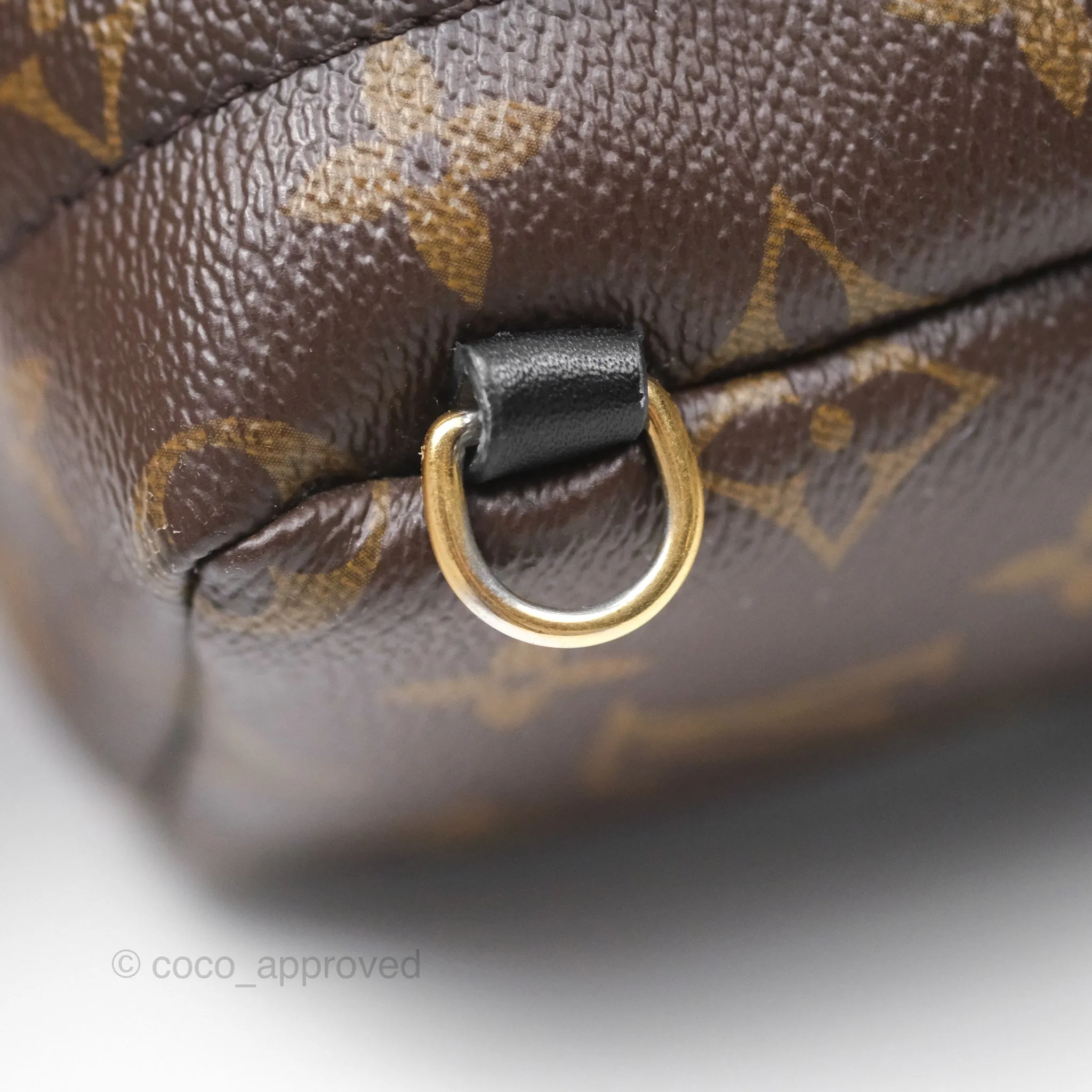 Louis Vuitton Monogram Mini Palm Springs Backpack