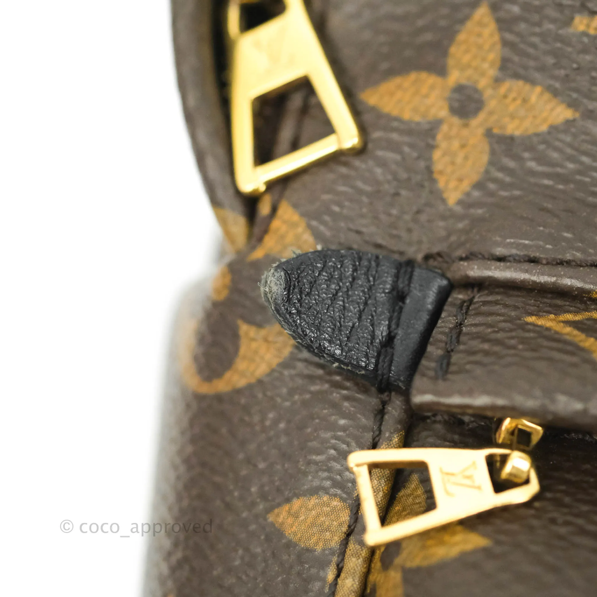 Louis Vuitton Monogram Mini Palm Springs Backpack