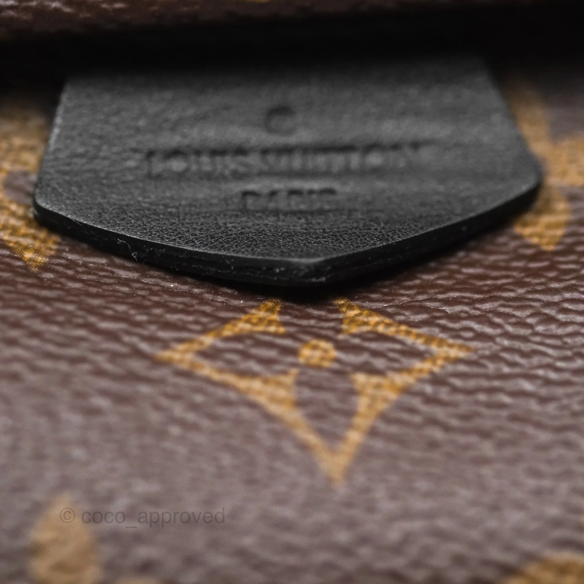 Louis Vuitton Monogram Mini Palm Springs Backpack