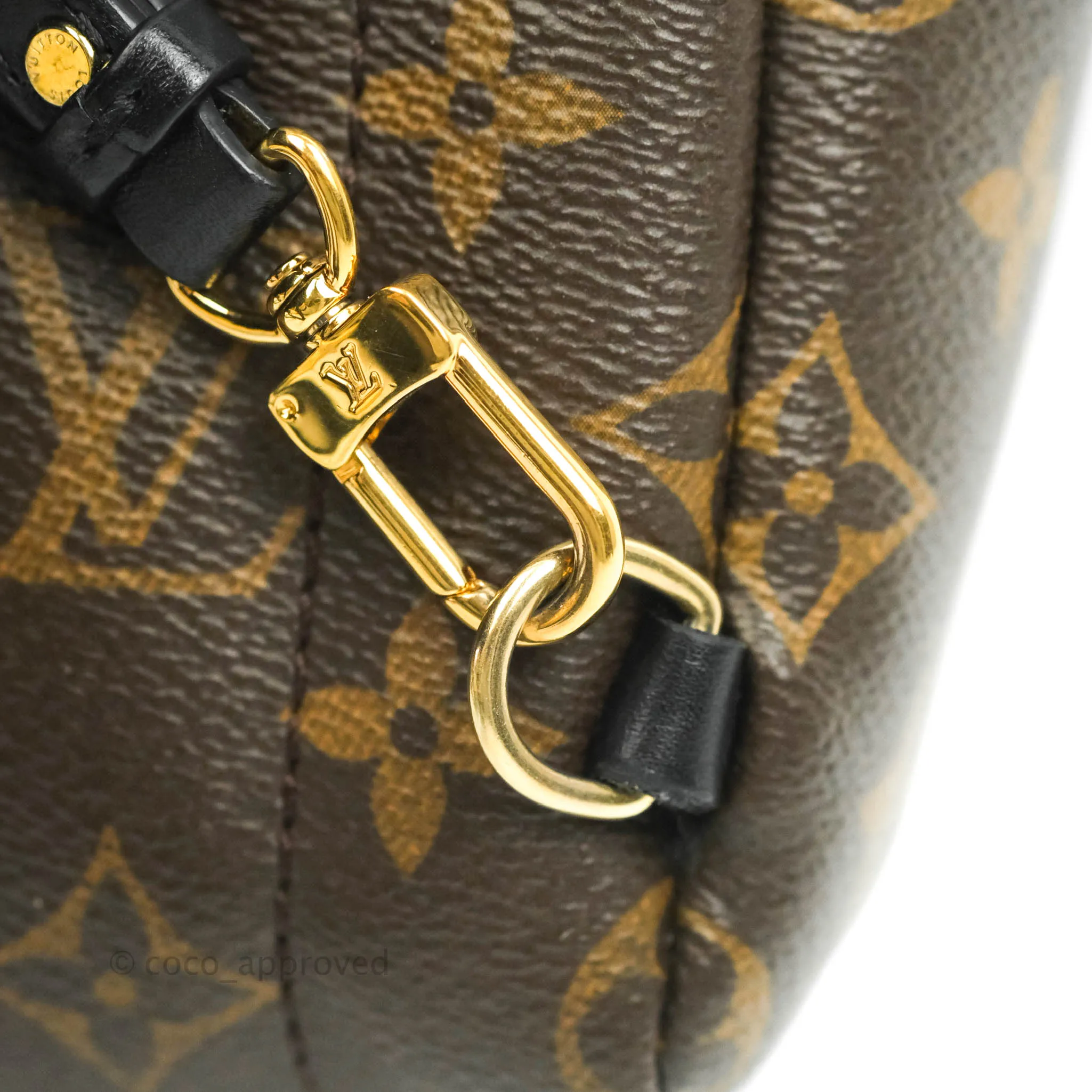 Louis Vuitton Monogram Mini Palm Springs Backpack