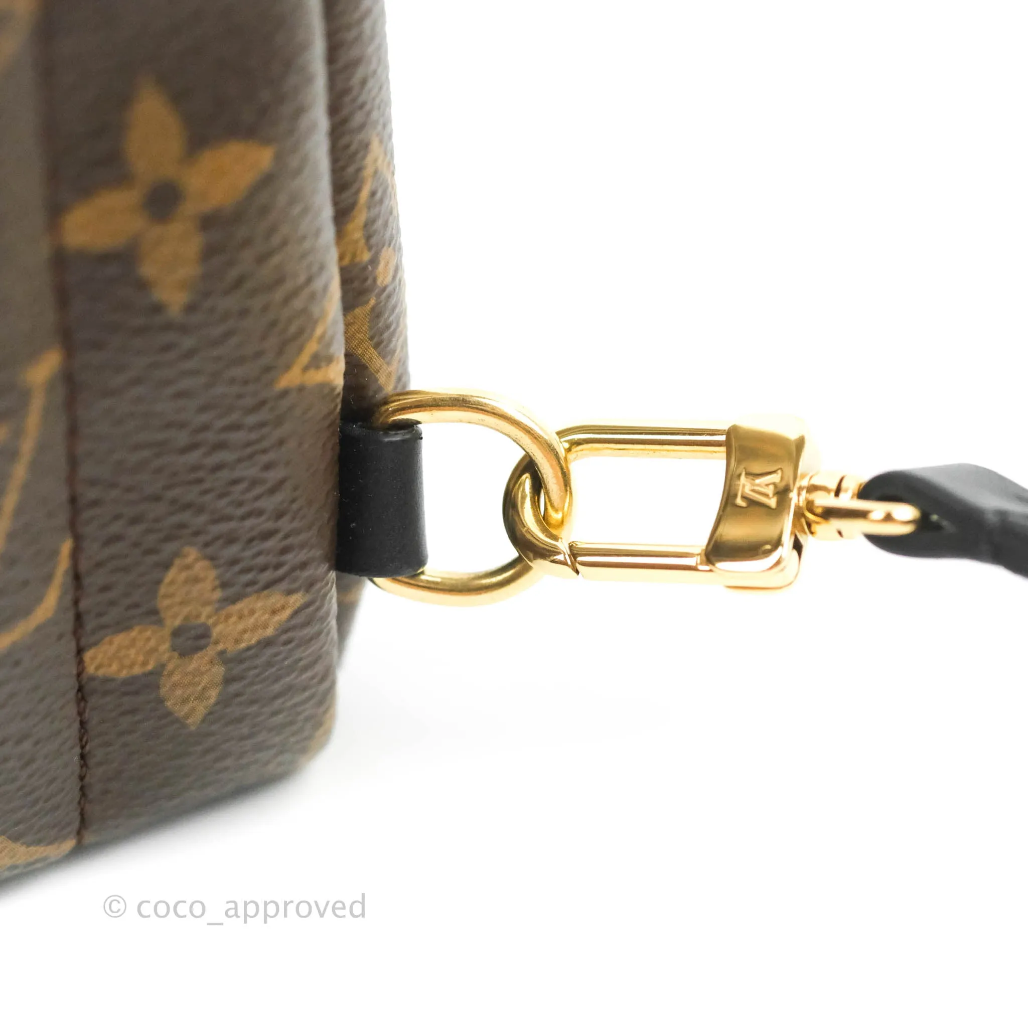 Louis Vuitton Monogram Mini Palm Springs Backpack