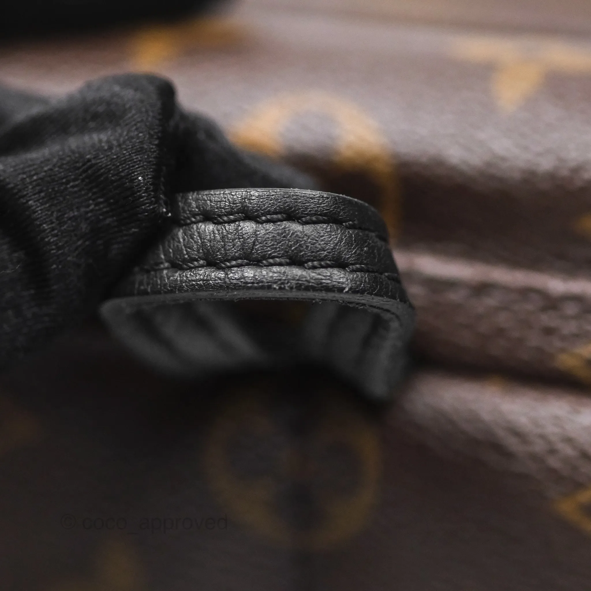 Louis Vuitton Monogram Mini Palm Springs Backpack