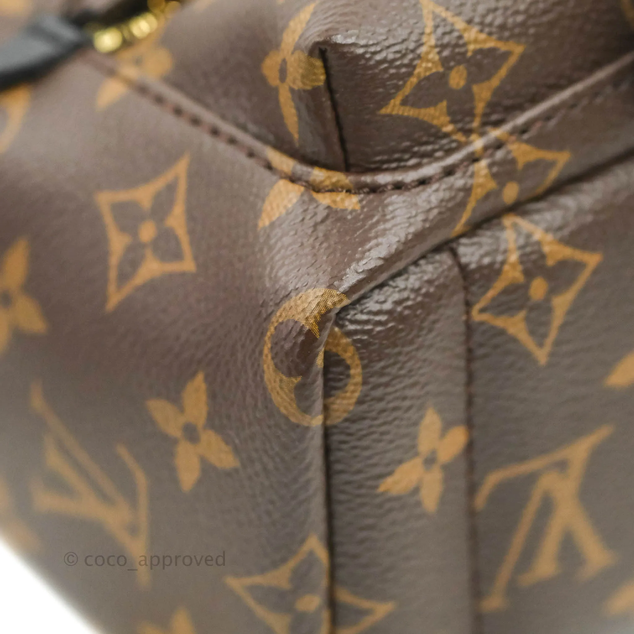 Louis Vuitton Monogram Mini Palm Springs Backpack