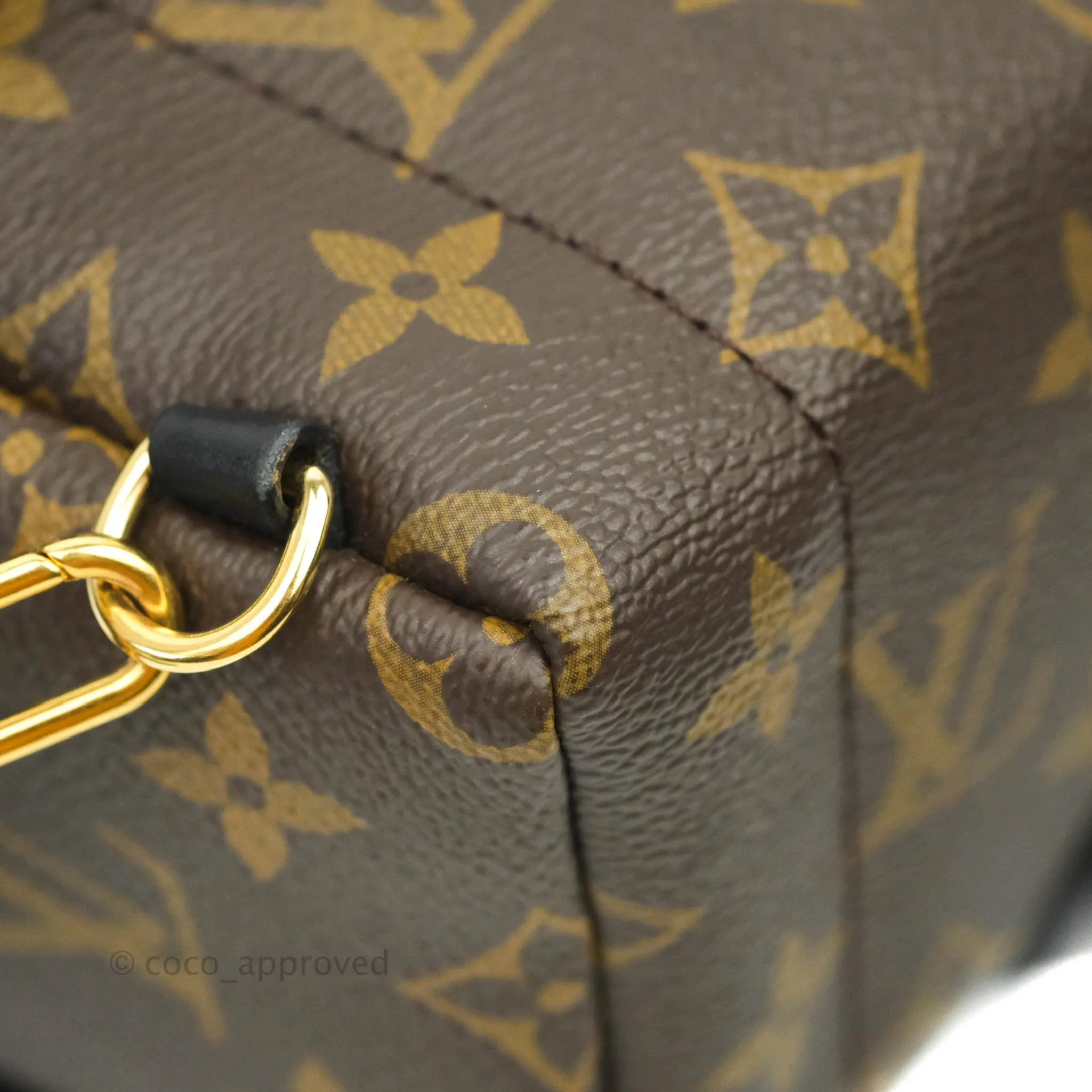 Louis Vuitton Monogram Mini Palm Springs Backpack